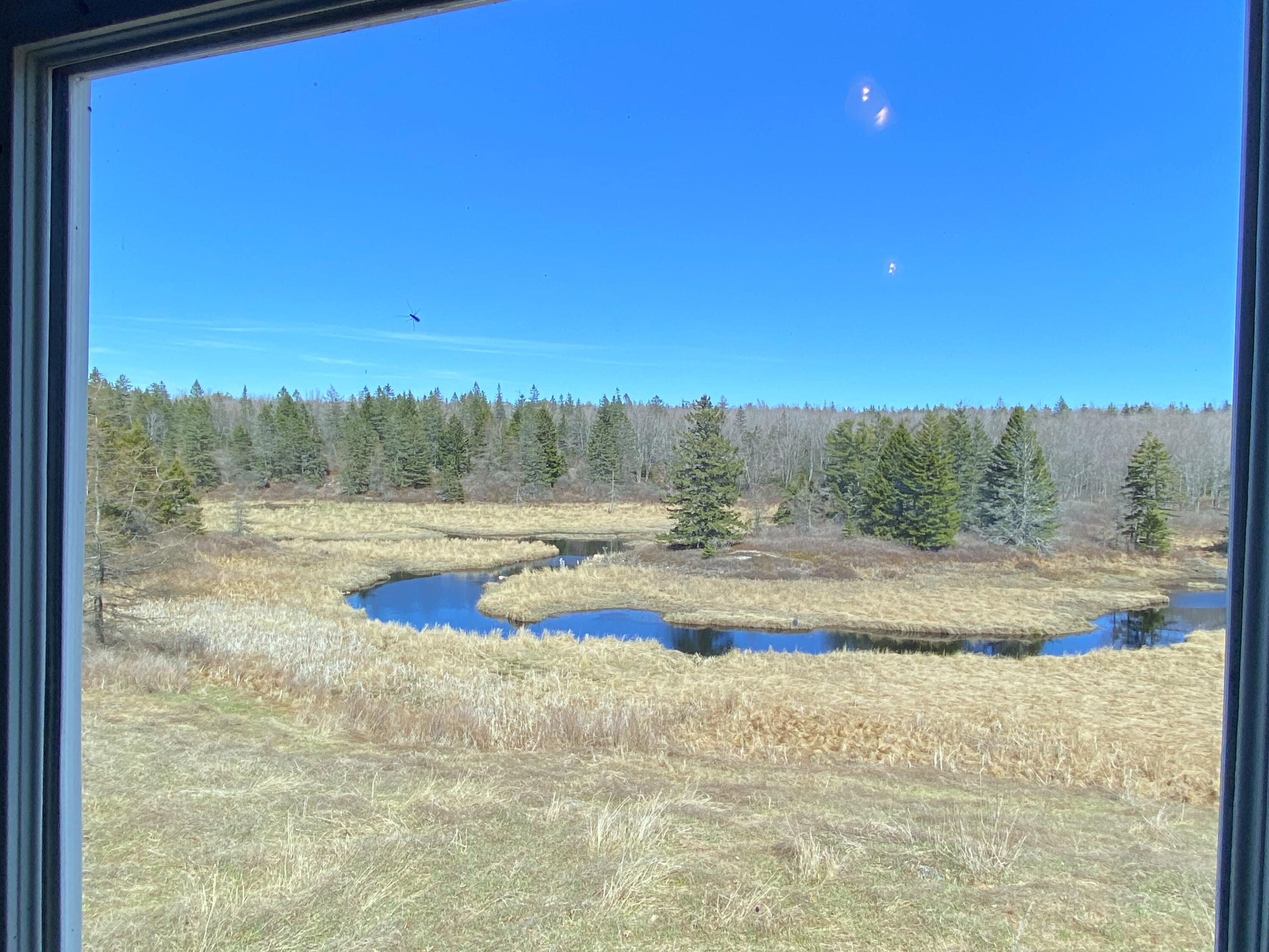 112 Hillcrest Drive Property Photo 3