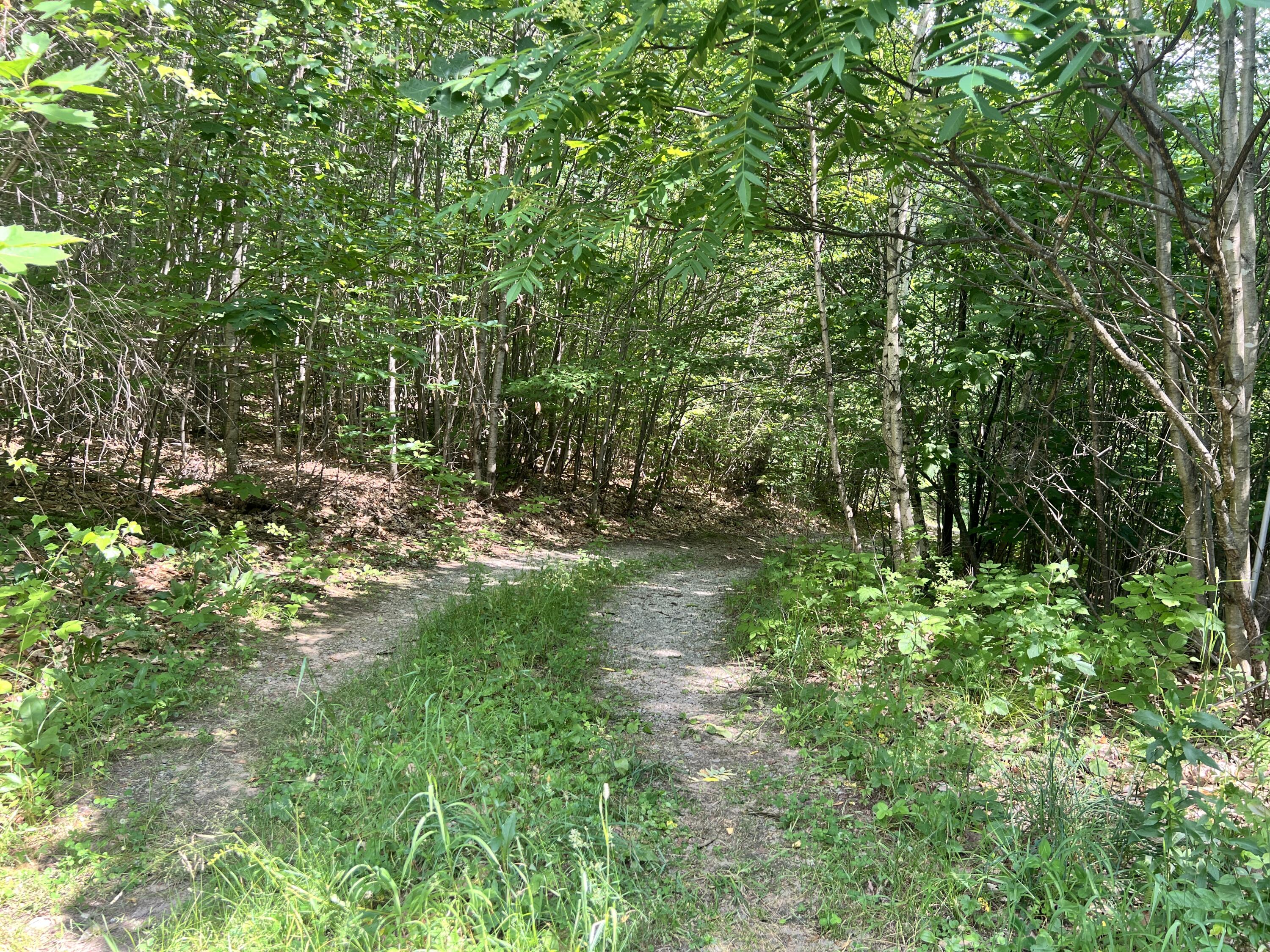 133 Rosenberg Road Property Photo 17