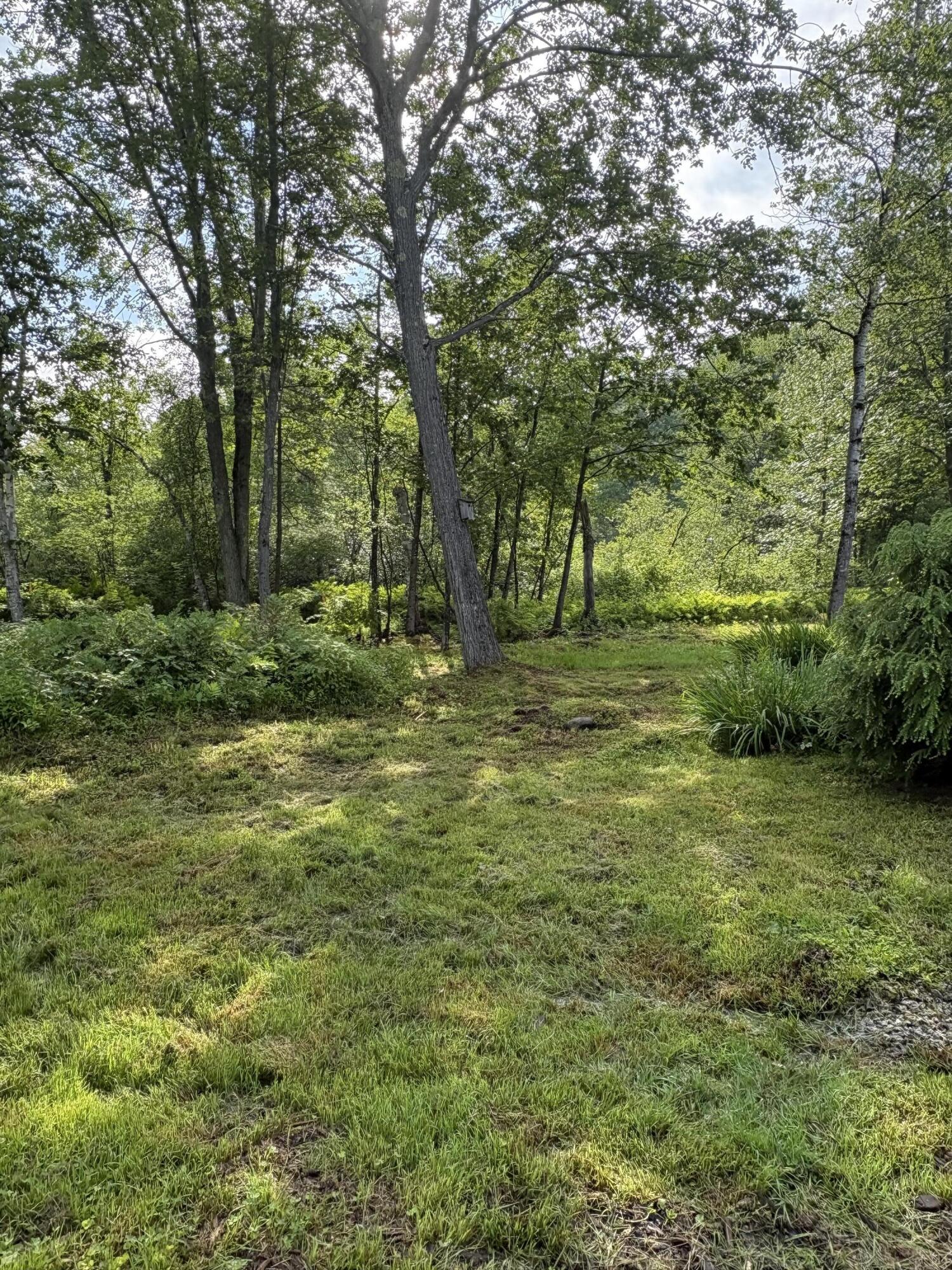 133 Lake Road Property Photo 67