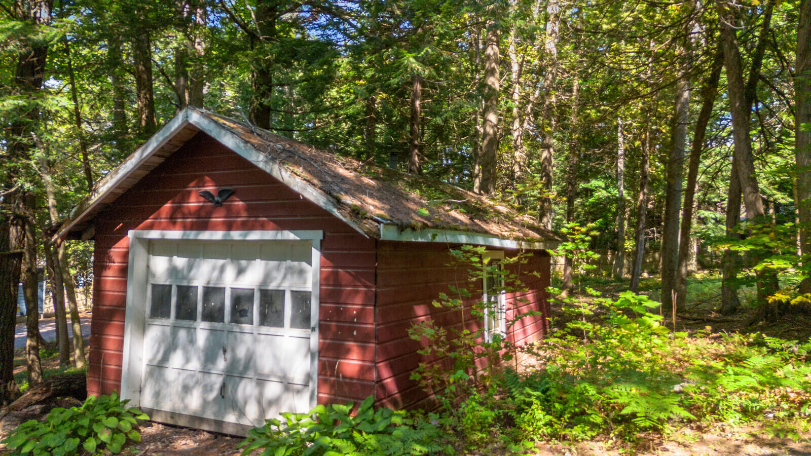 25 Gifford Place & Blake Island Property Photo 47