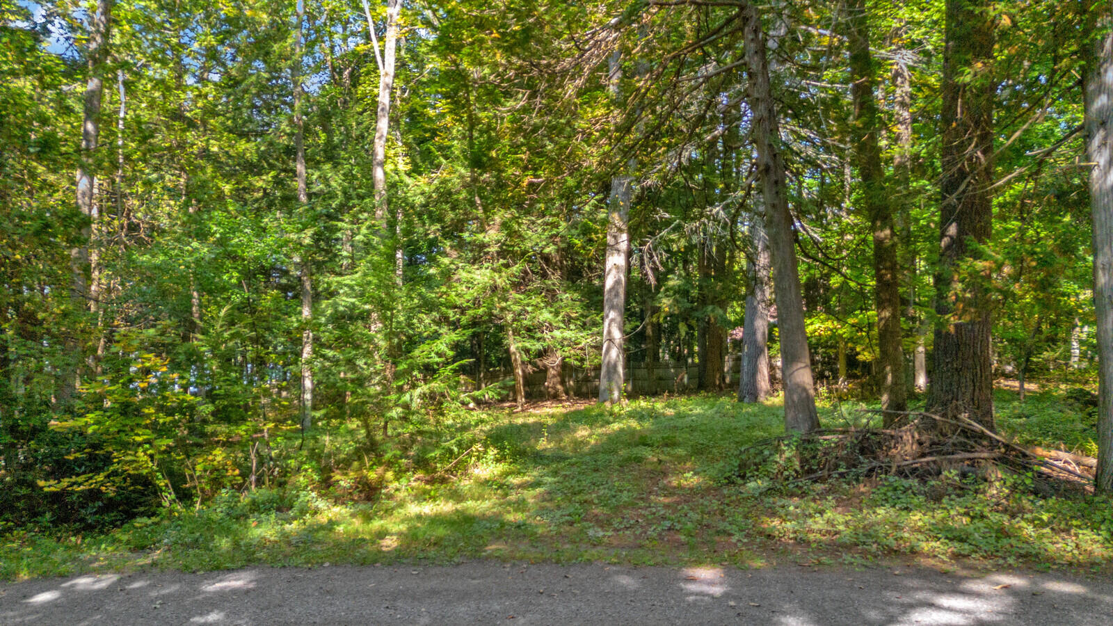 25 Gifford Place & Blake Island Property Photo 49