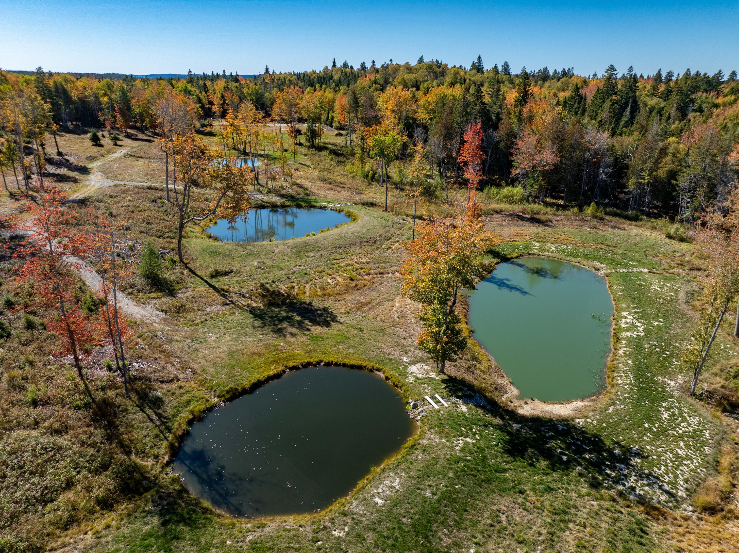 408 Duck Cove Road Property Photo 13