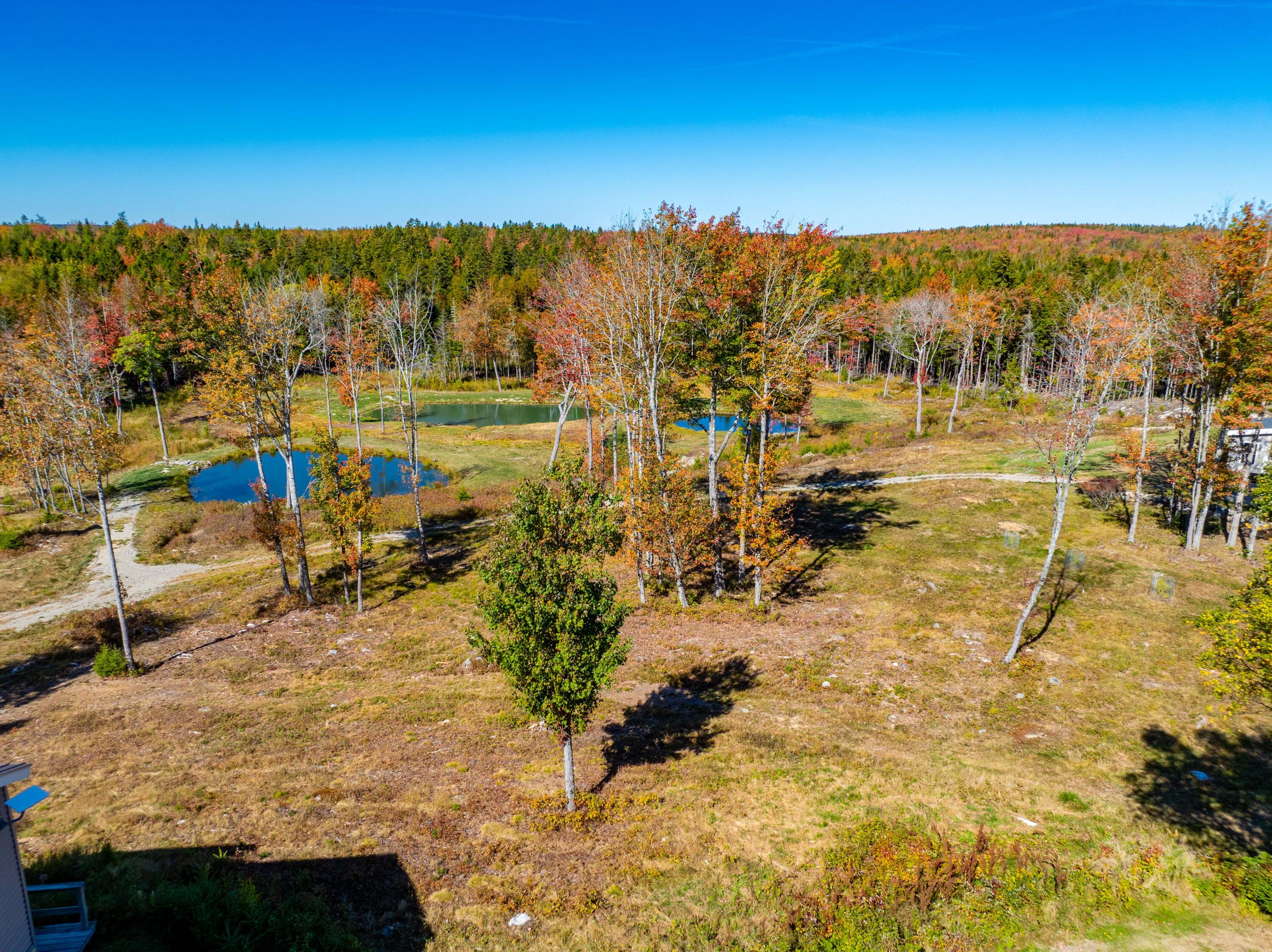 408 Duck Cove Road Property Photo 22
