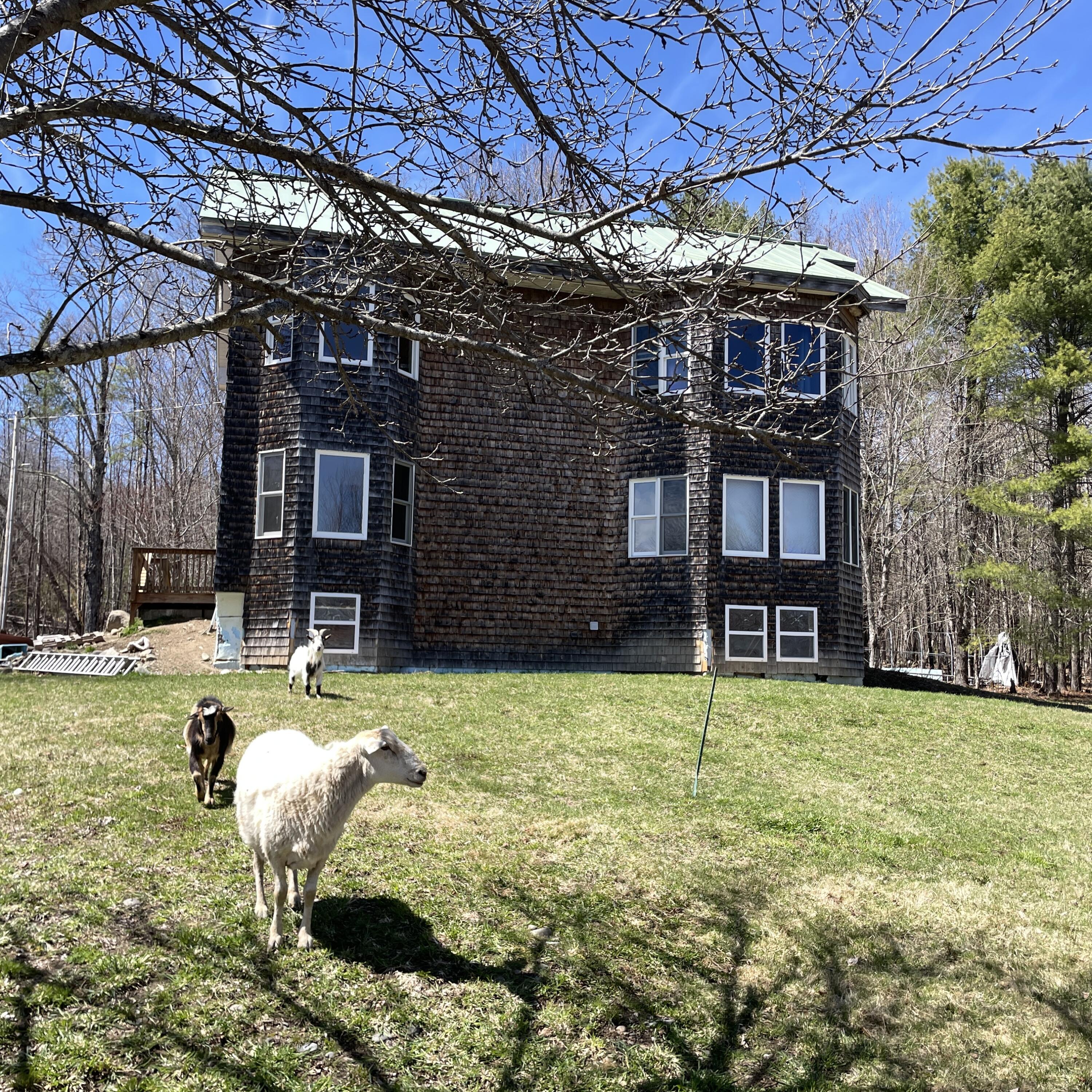 20 Bean Hill Property Photo 31