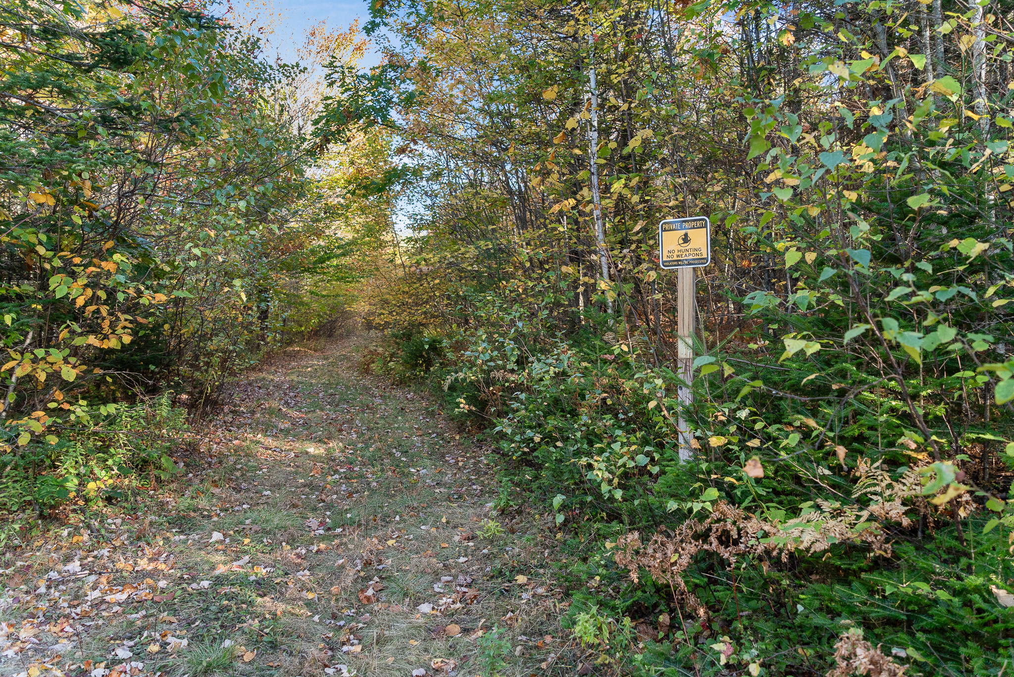 219 Outlook Road Property Photo 86