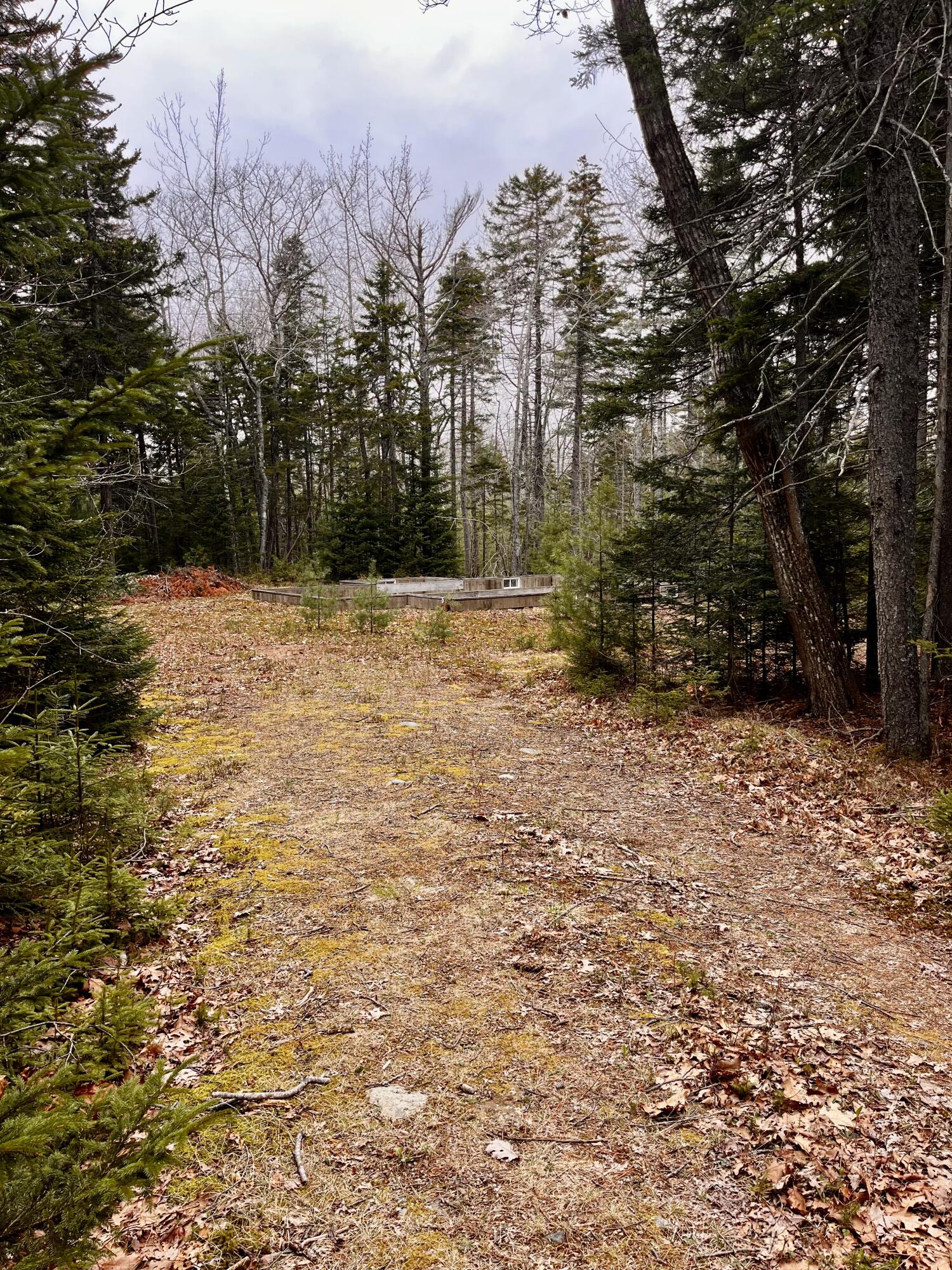 34 Bunchberry Lane Property Photo 2