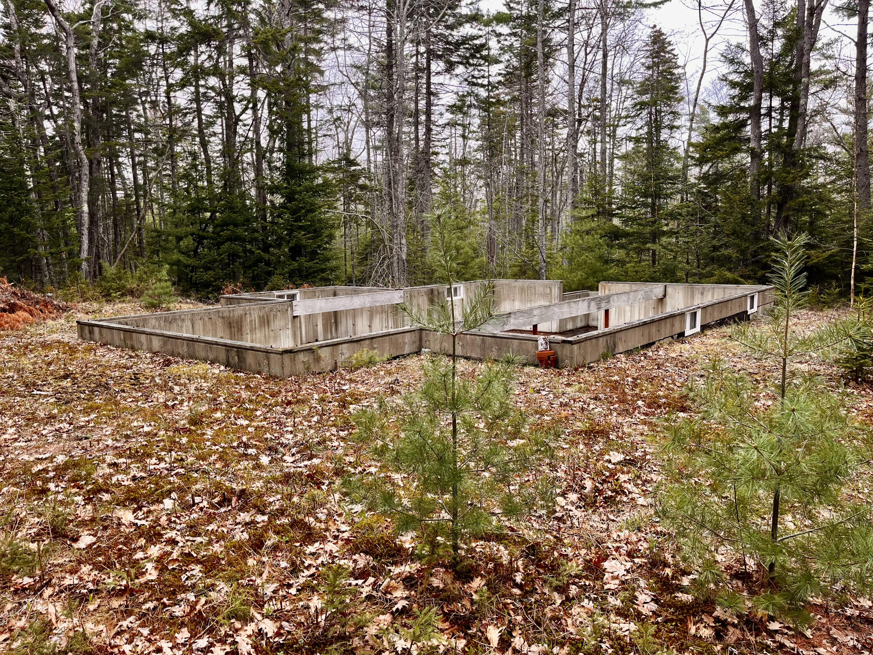 34 Bunchberry Lane Property Photo 4