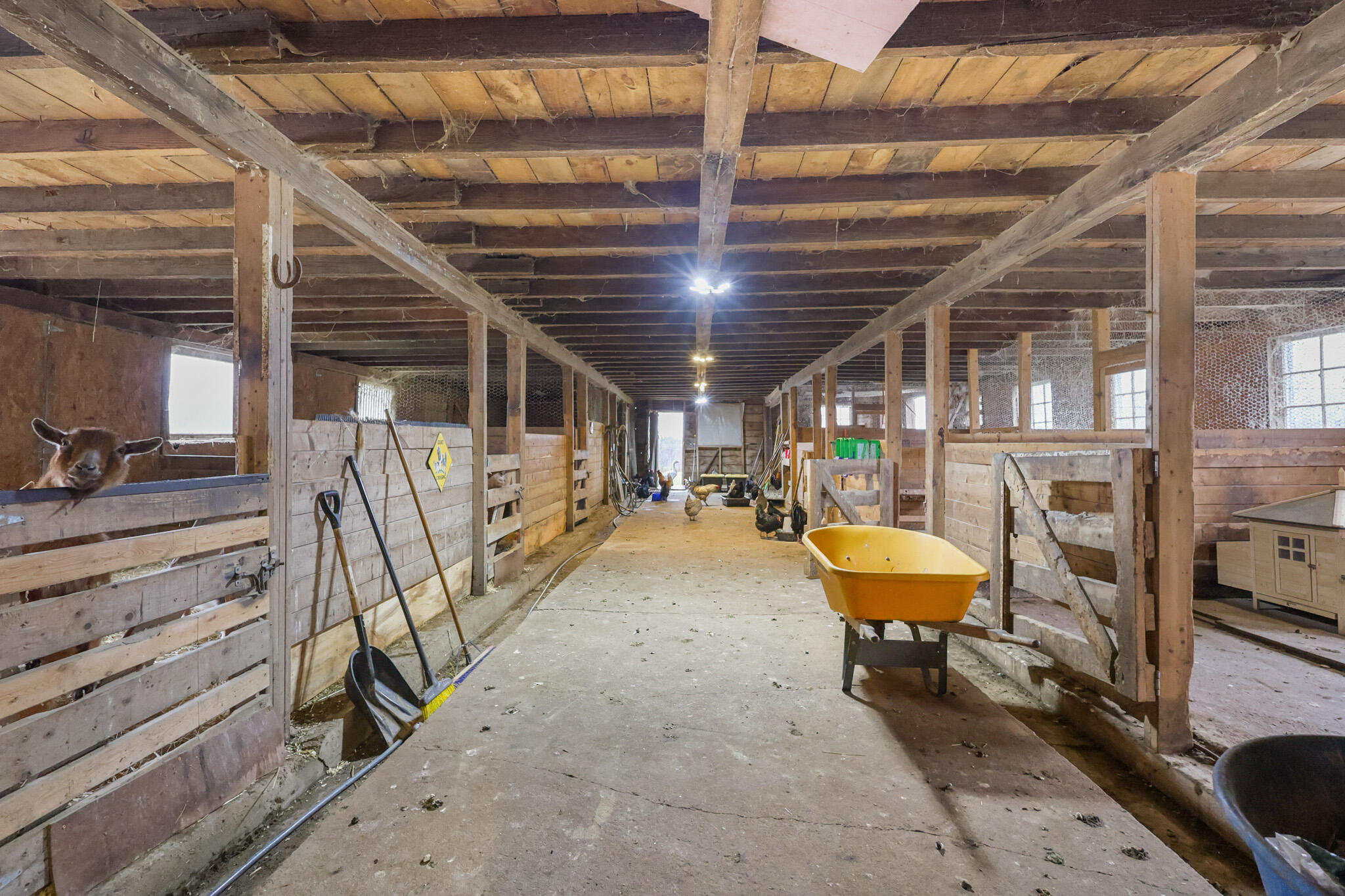 25 & 26 Rancourt Road Property Photo 63