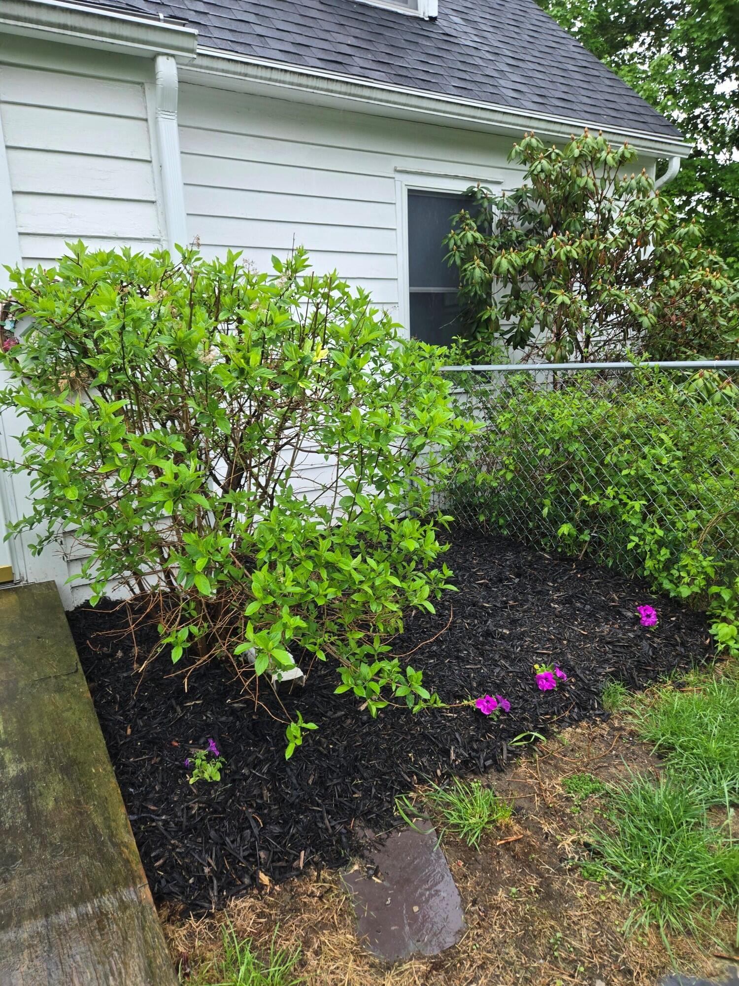 1249 State Street Property Photo 6