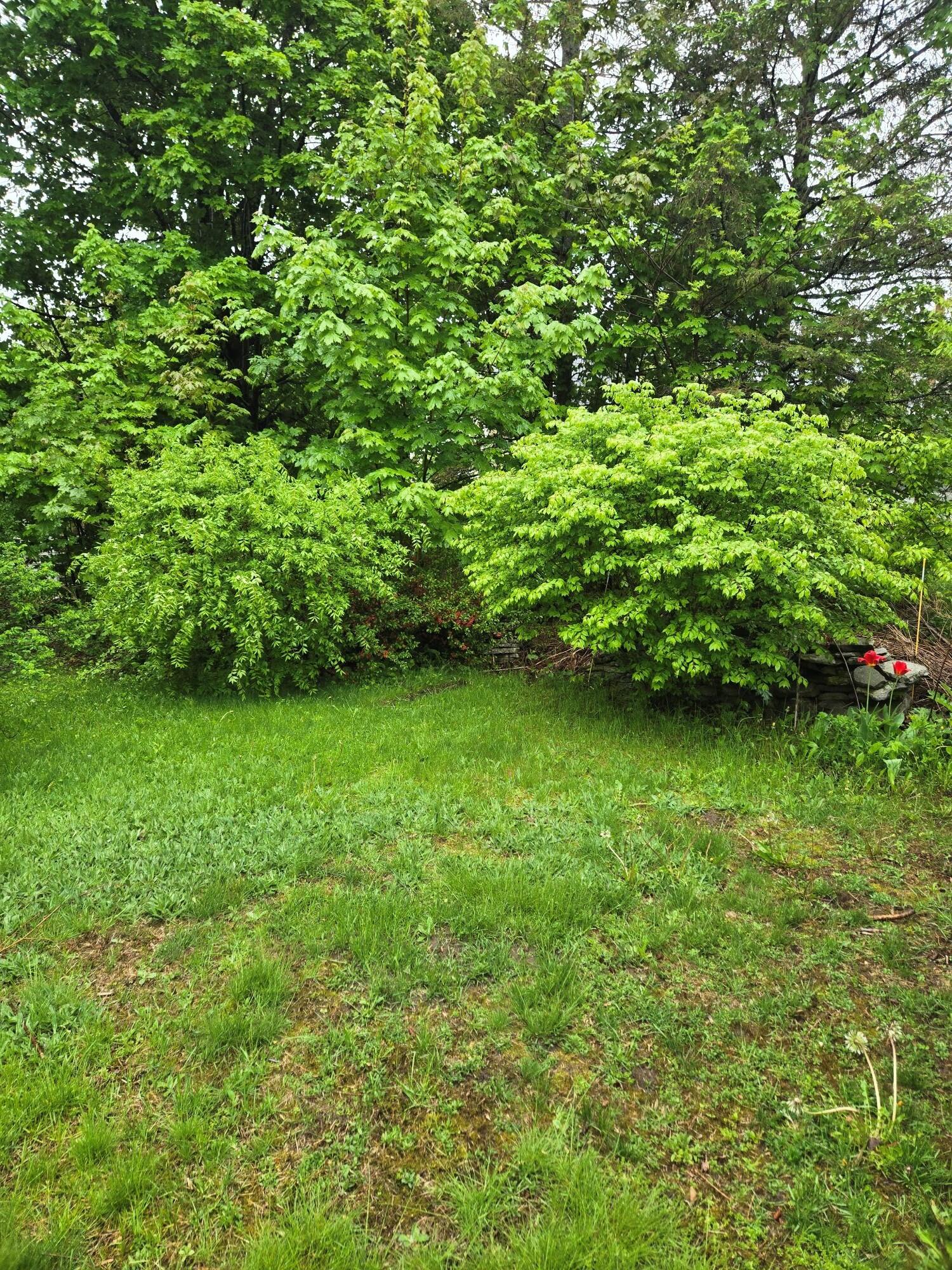 1249 State Street Property Photo 8