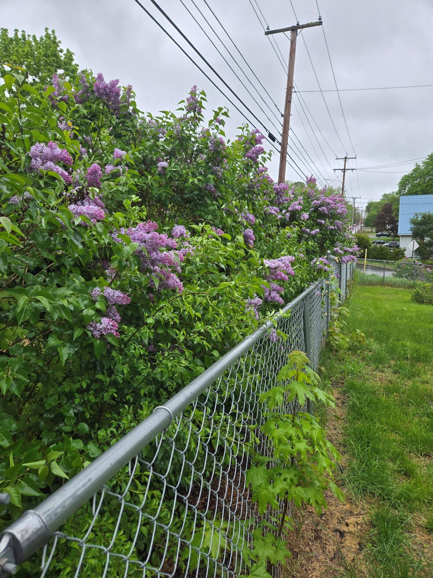 1249 State Street Property Photo 9