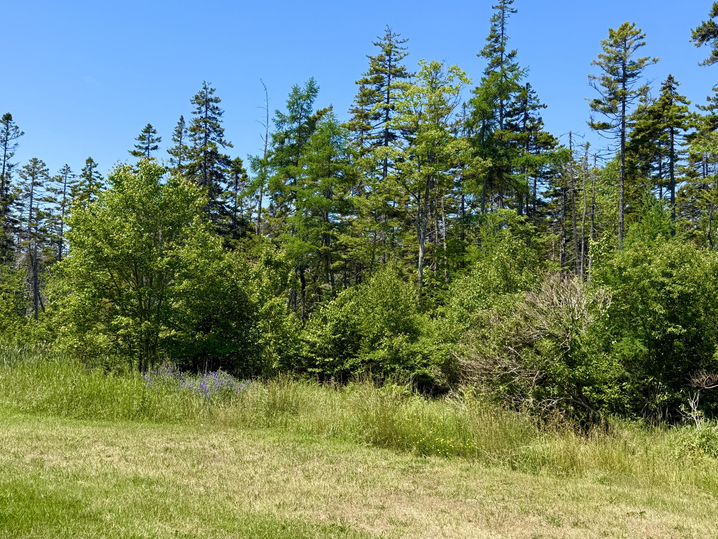 29 Hidden Drive Property Photo 33