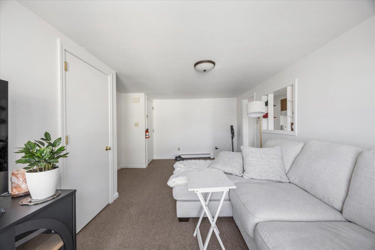36 Bradbury Street Property Photo 17
