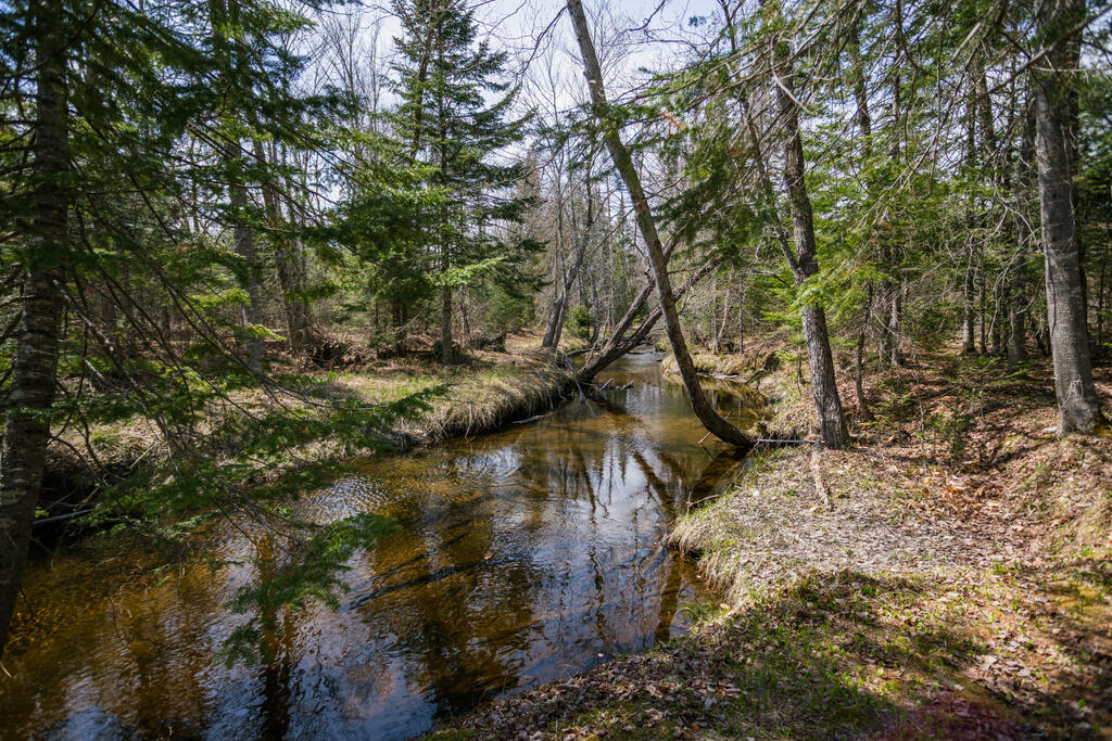 461 Four Mile Square Road Property Photo 43