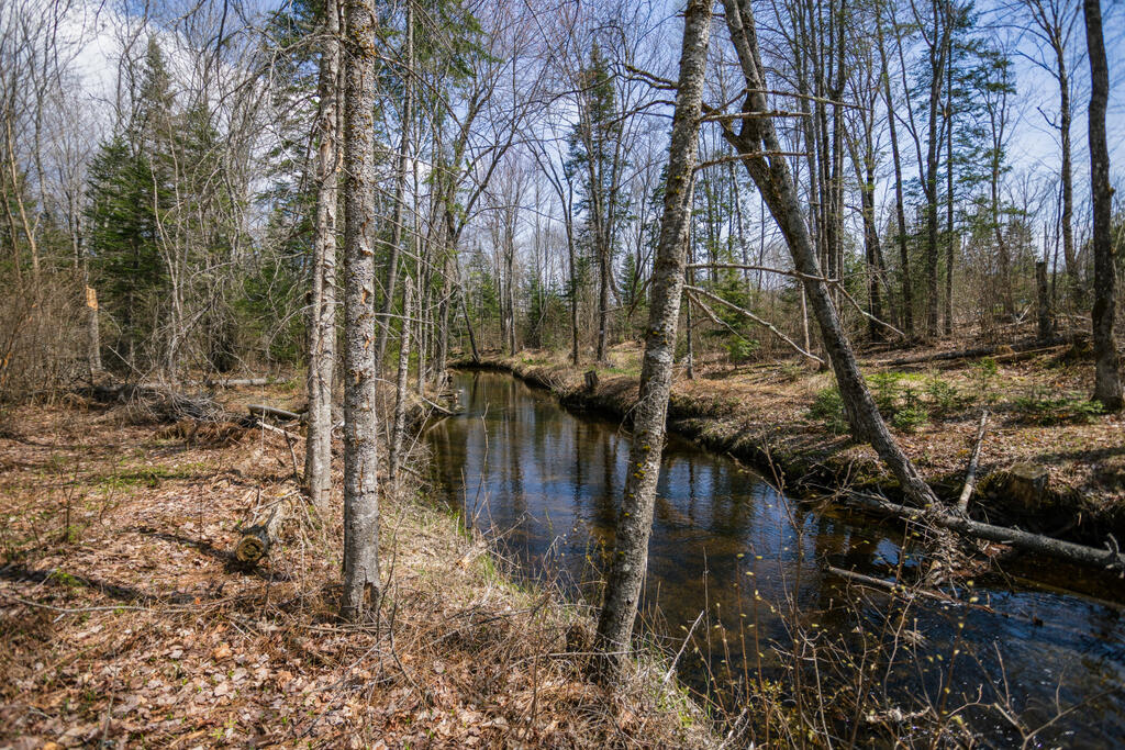 461 Four Mile Square Road Property Photo 45