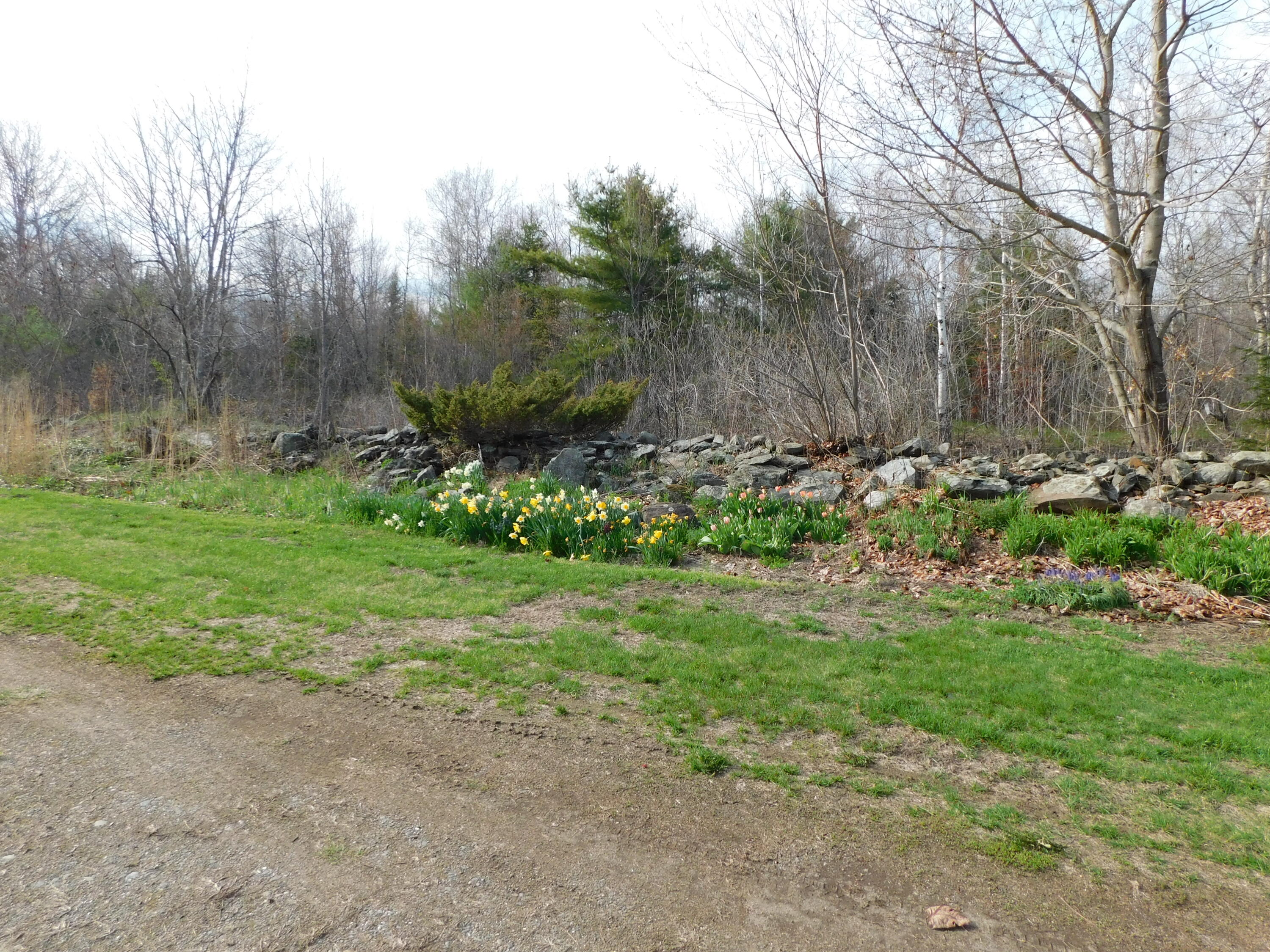 132 Station Road Property Photo 27