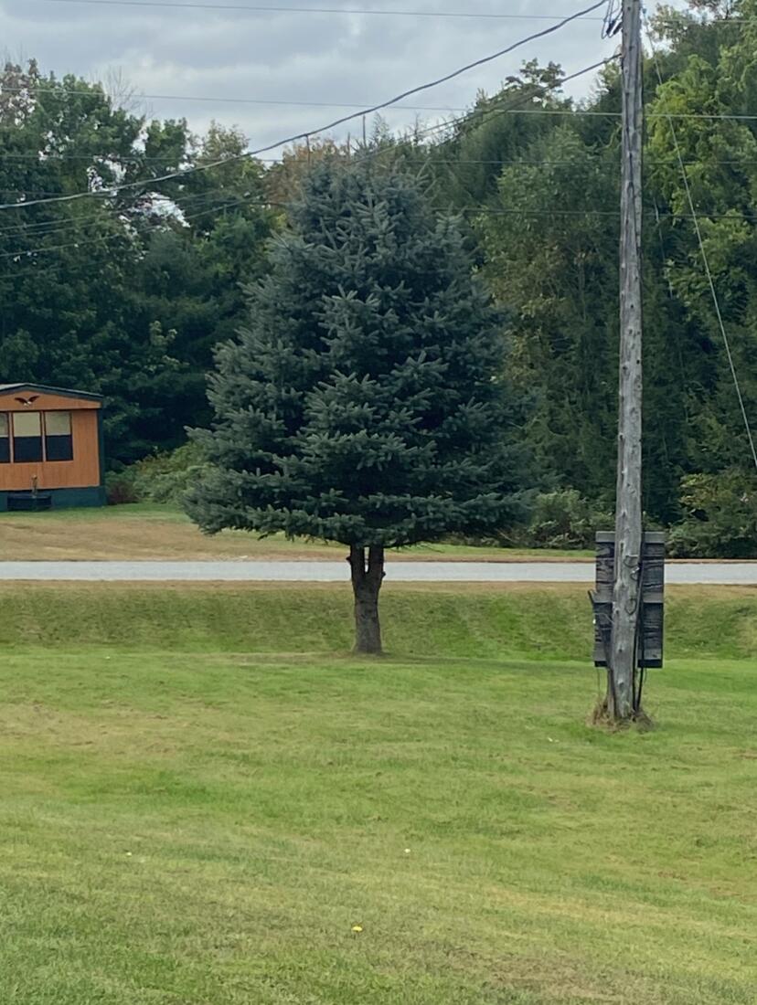 16 Averill Mobile Home Park Property Photo 14