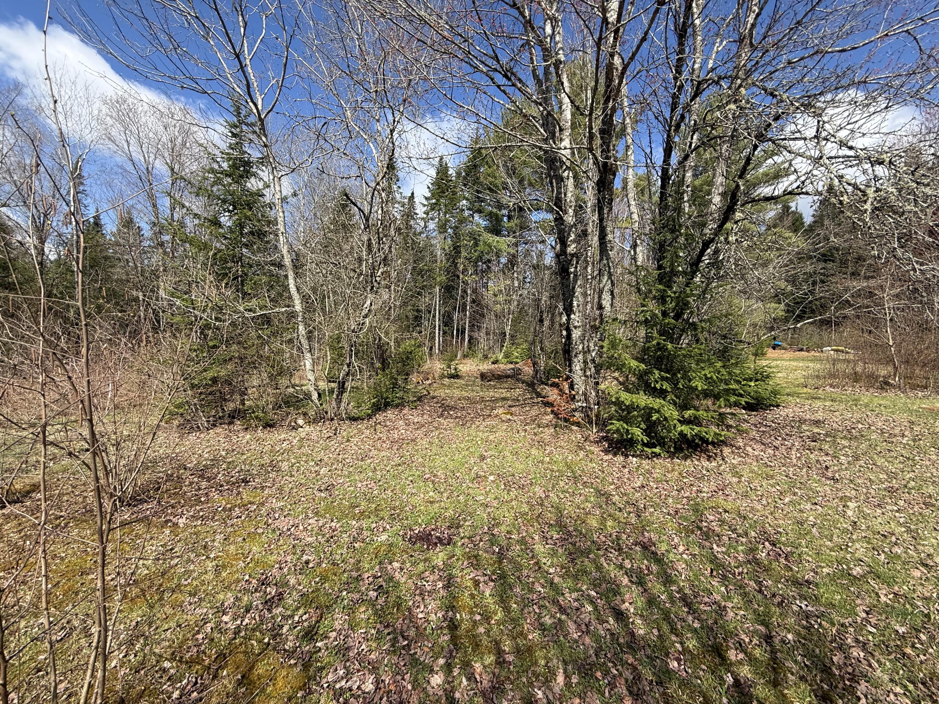 848 Bancroft Road Property Photo 9