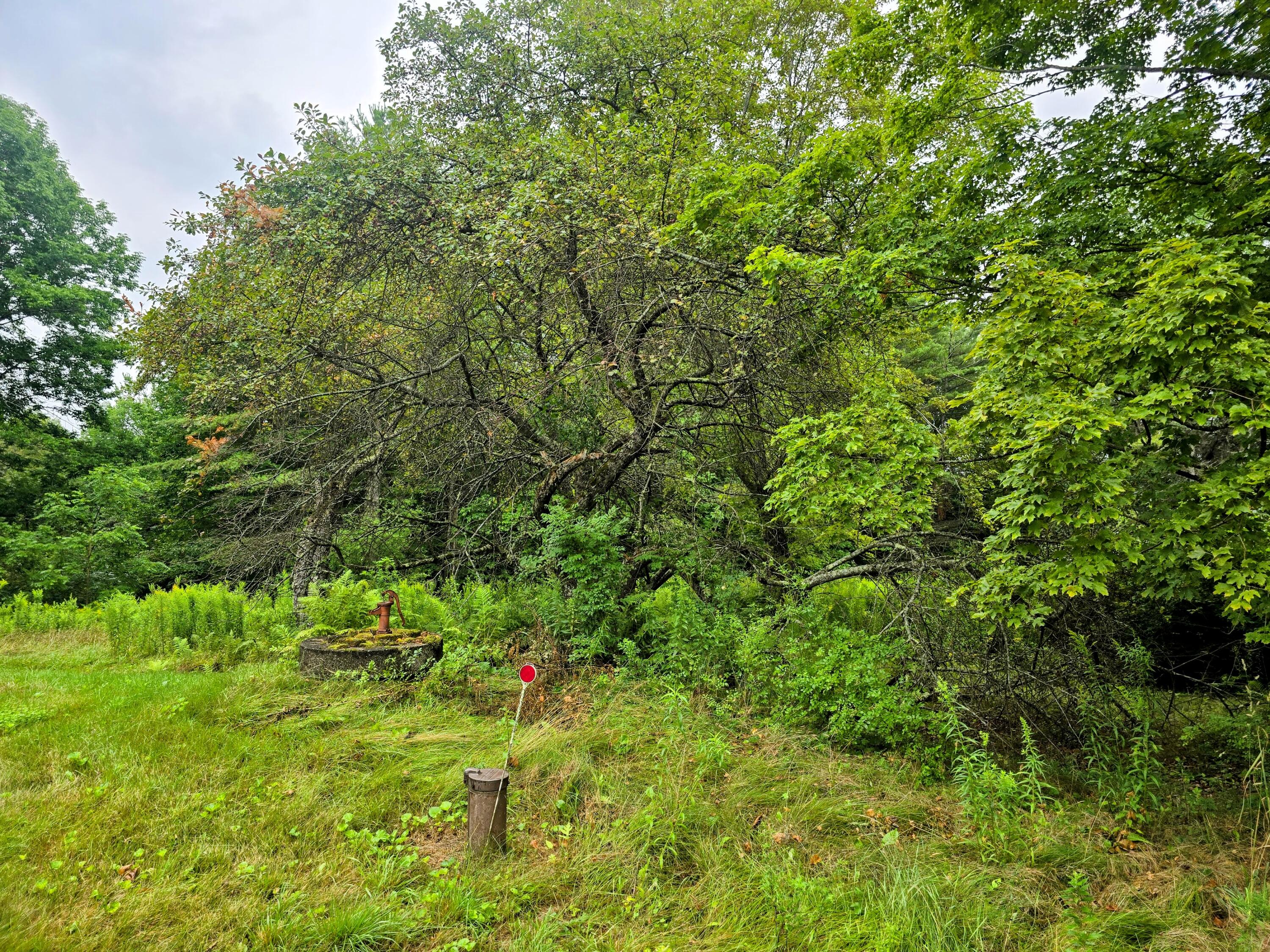 705 Plains Road Property Photo 9