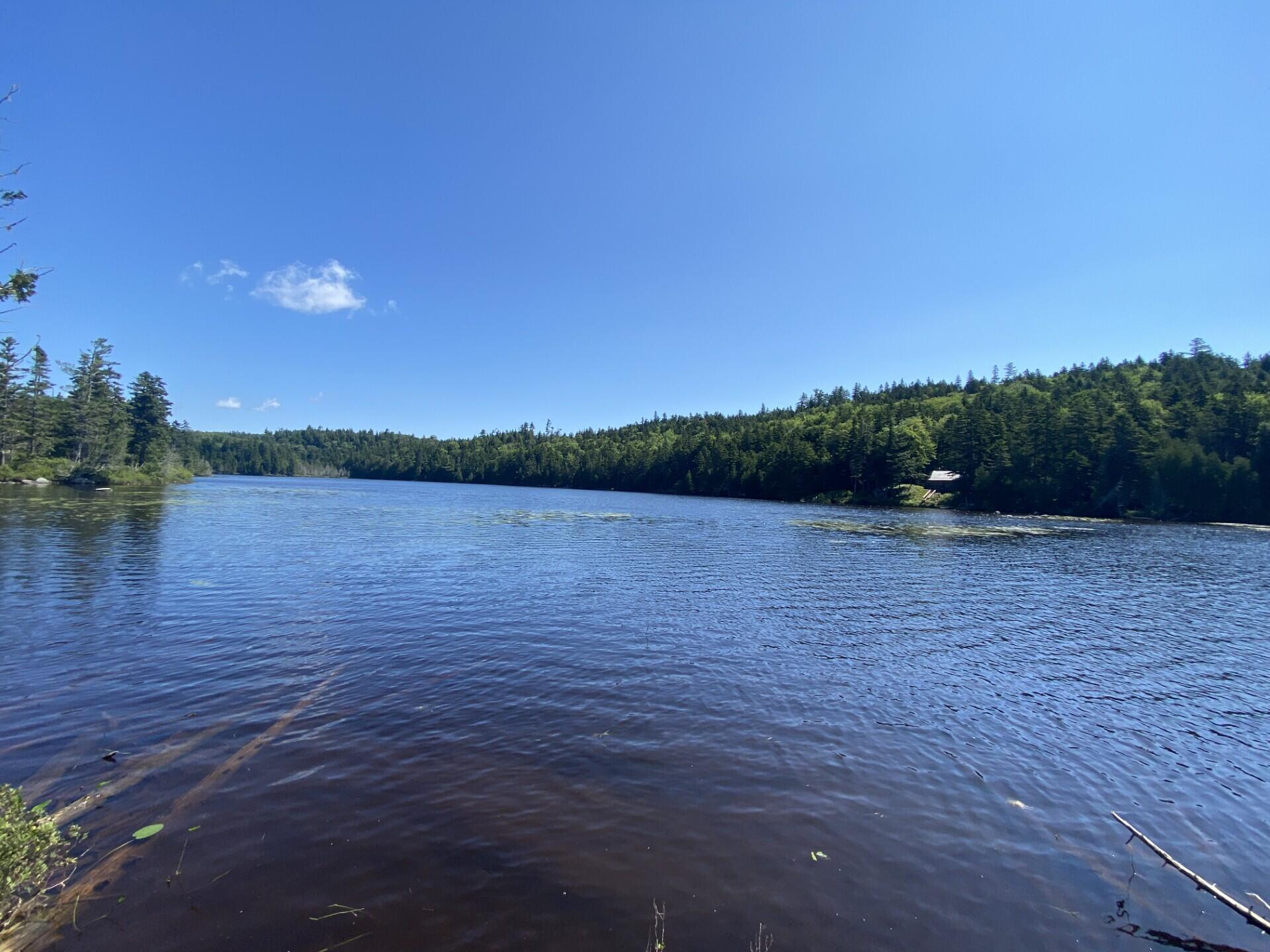 Lot 14 Rowe Pond Road Property Photo 47