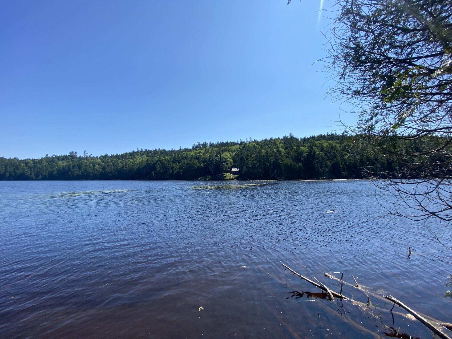 Lot 14 Rowe Pond Road Property Photo 48