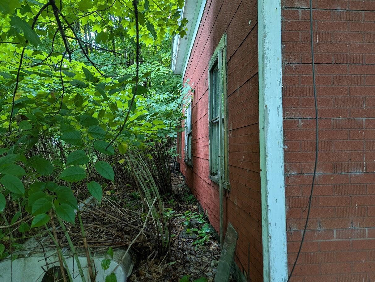 20 Bennett Street Property Photo 4
