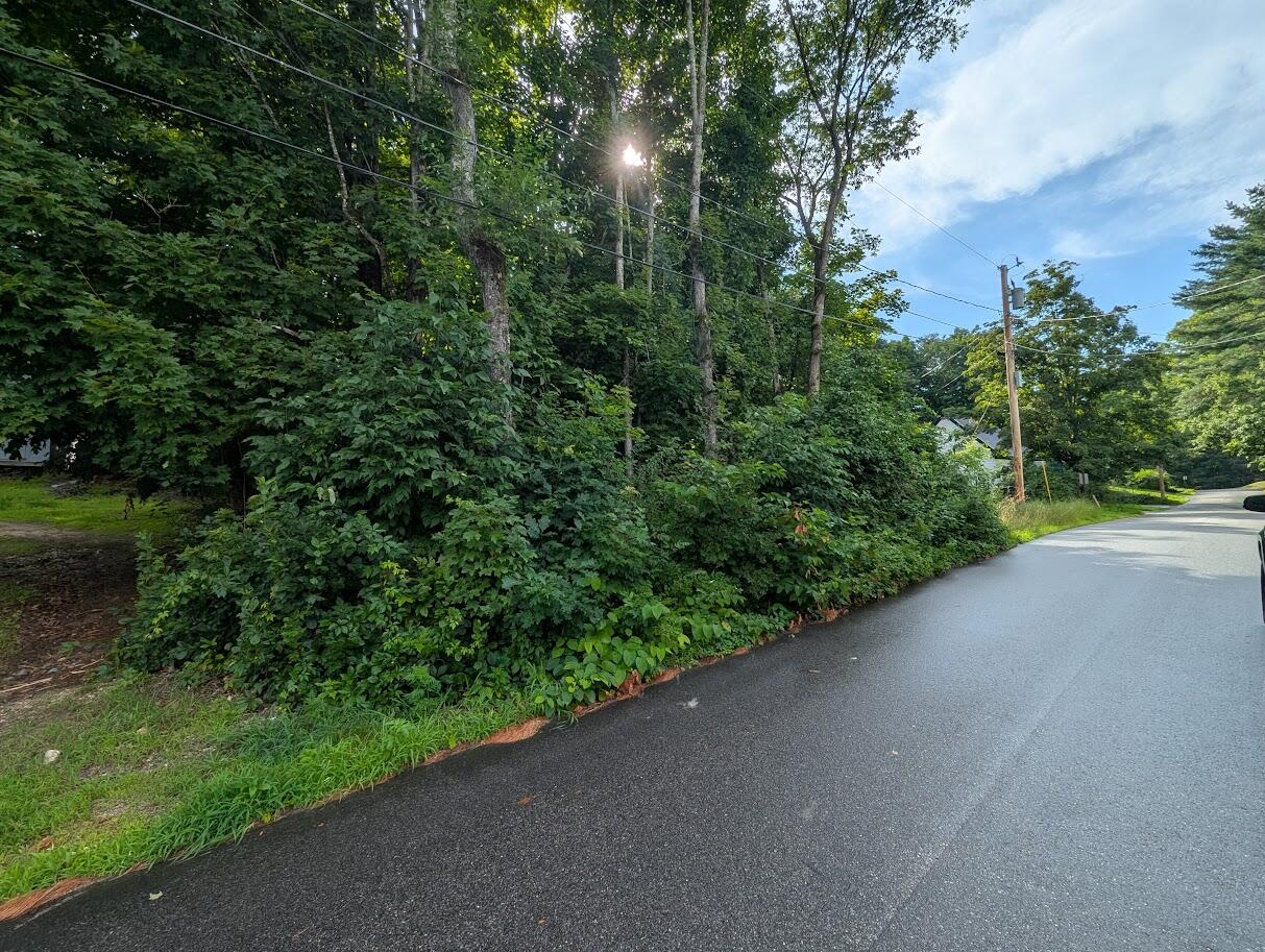 20 Bennett Street Property Photo 6