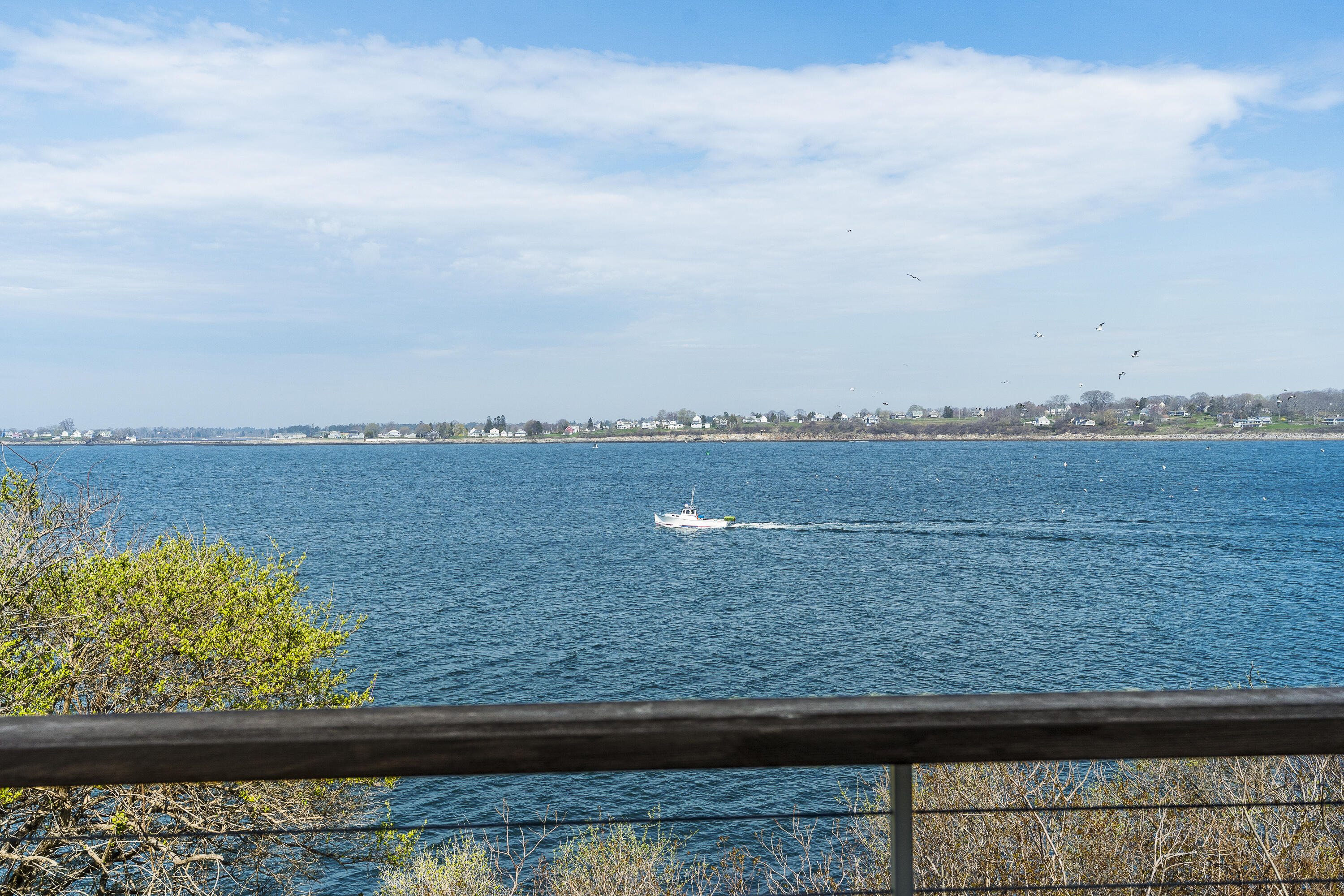 11 Edal Heights Property Photo 29