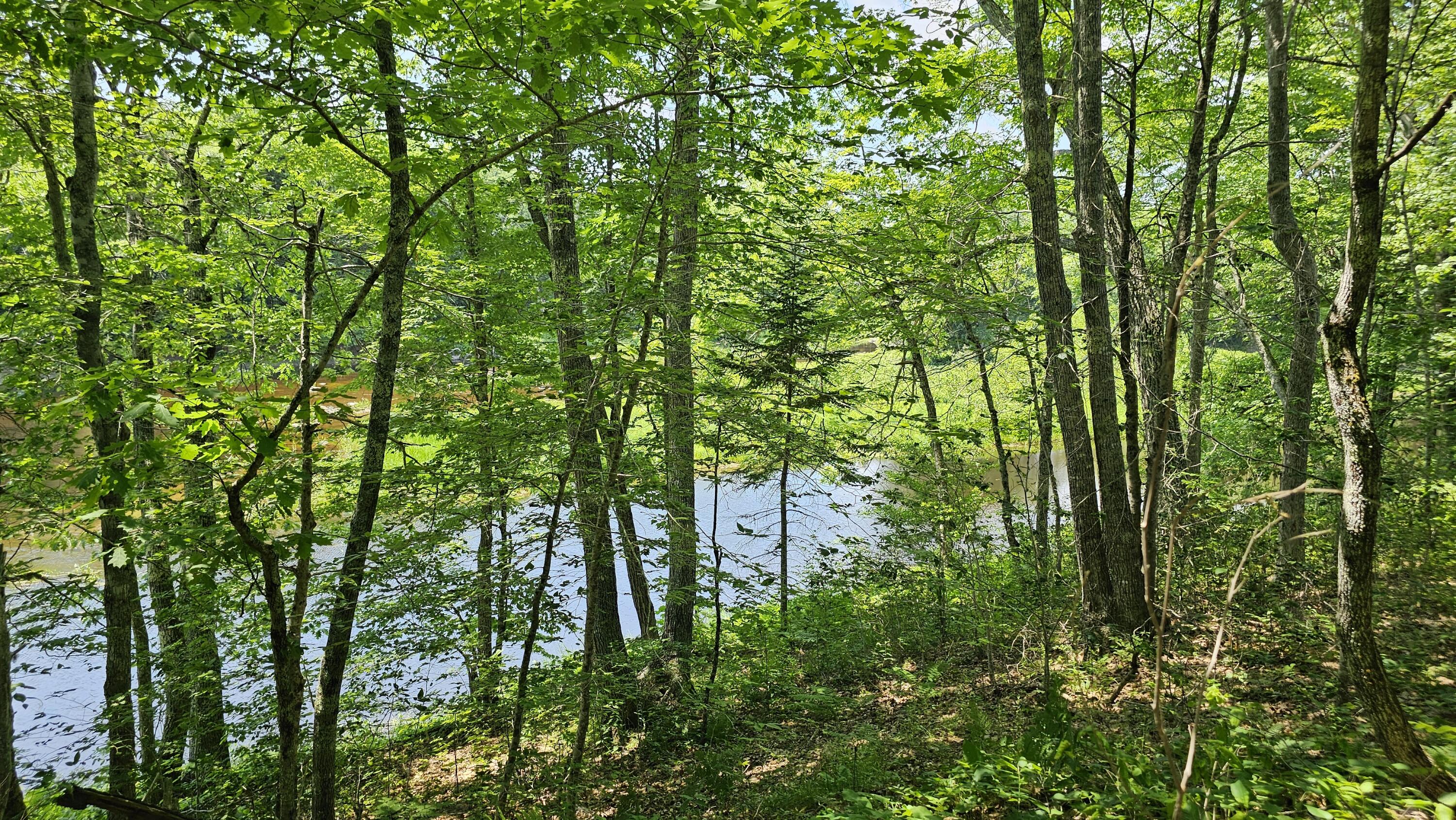 202 Stream Road Property Photo 47