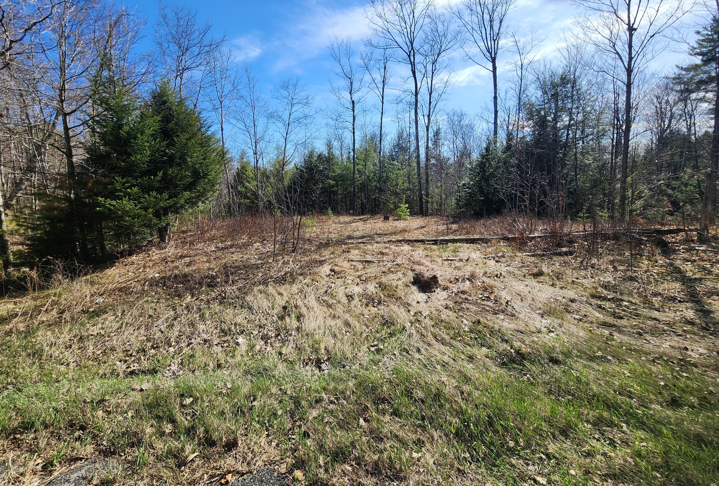 0 Madison Road Property Photo 1