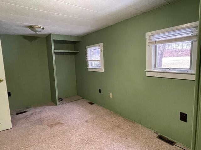 110 Mountain Street Property Photo 6