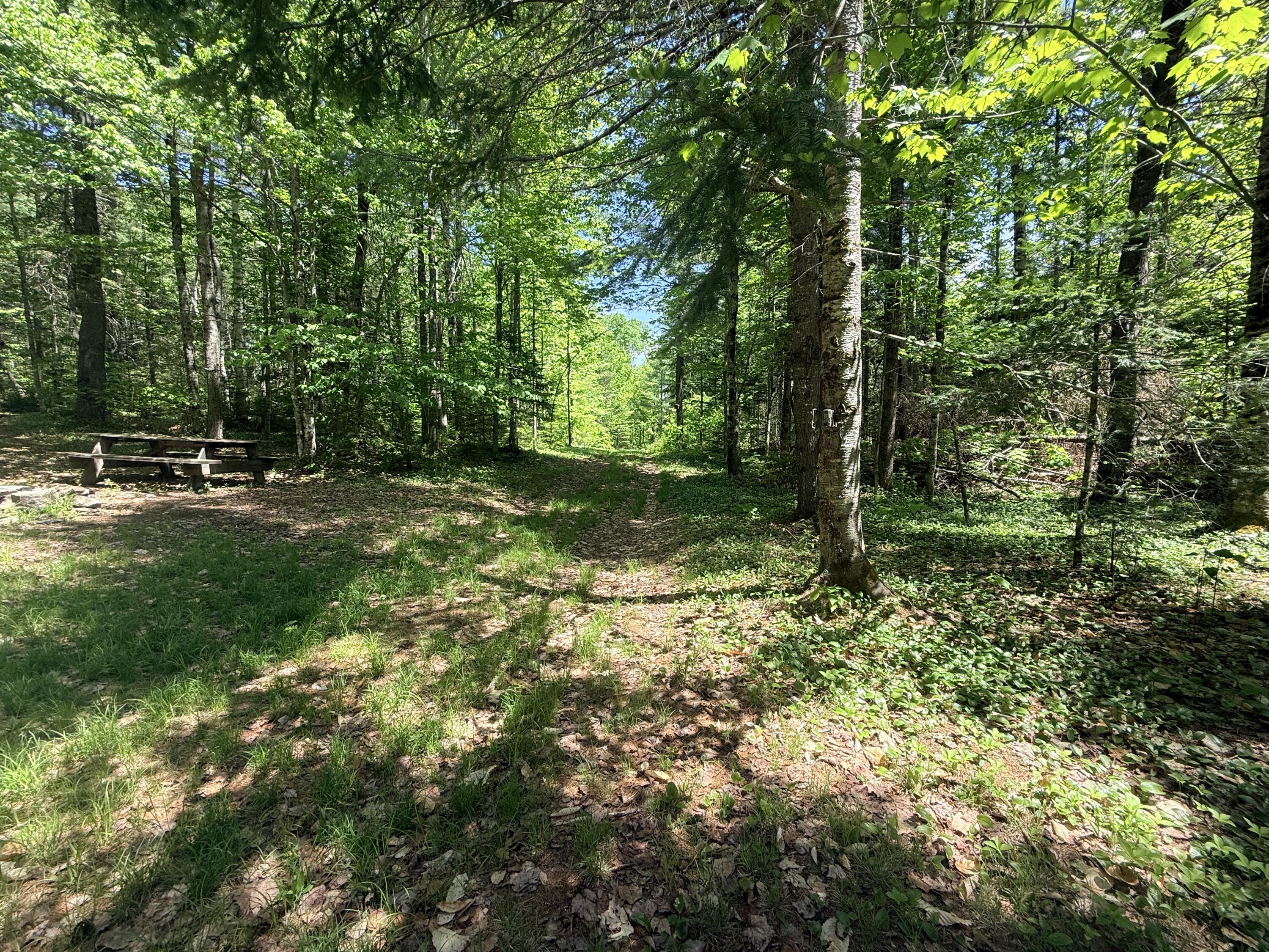 Tbd Ames Road Property Photo 4