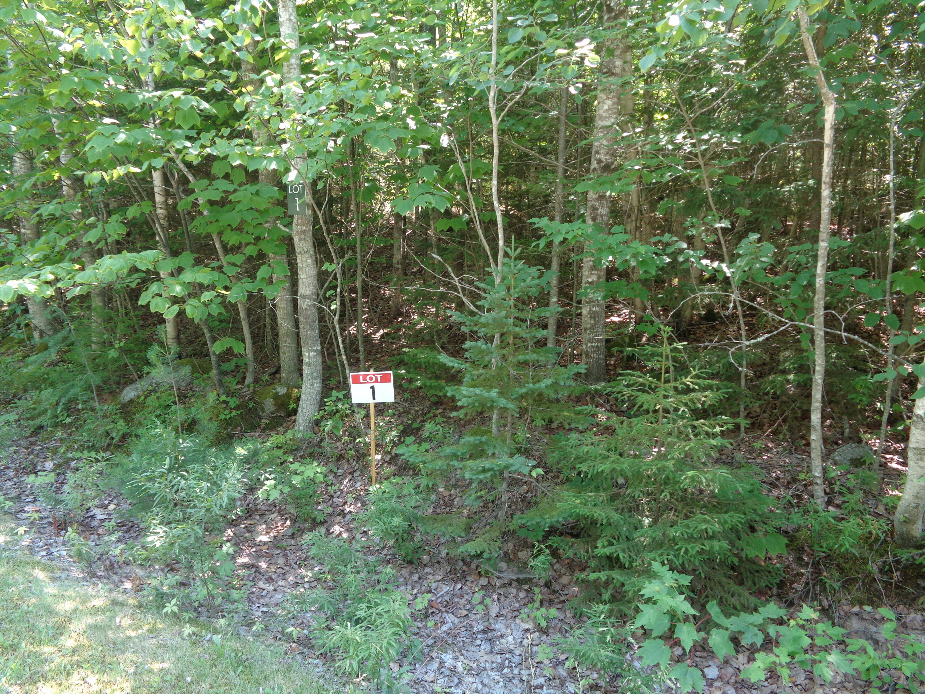 Lot 1 Bailey Mountain Drive Property Photo 1