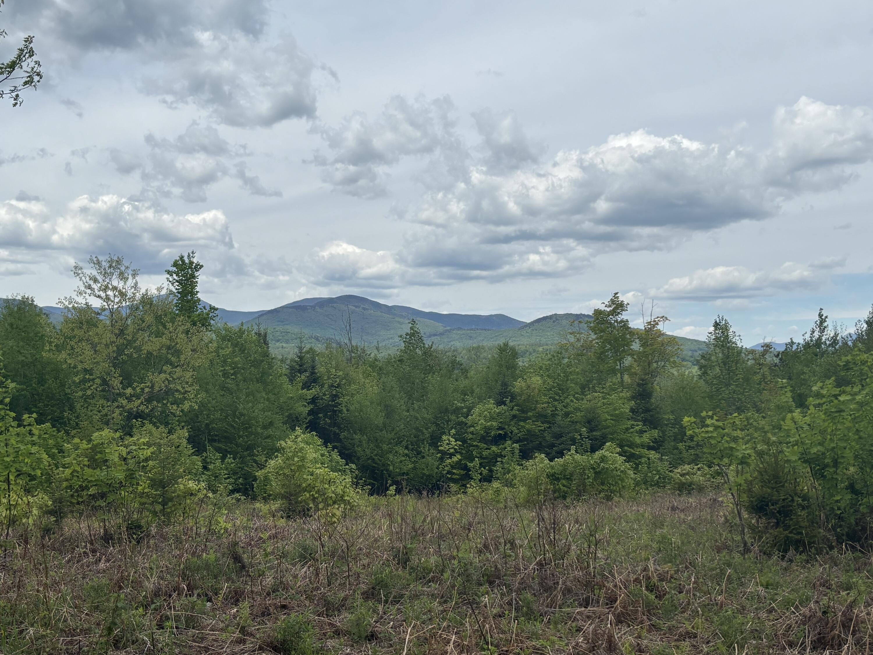 Lot #20 Hollis Drive (Eagle Ridge) Road Property Photo 1