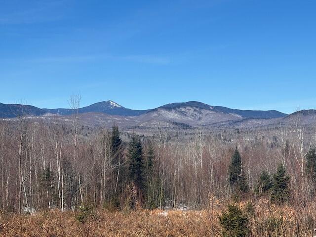 Lot #20 Hollis Drive (eagle Ridge) Road Property Photo 2