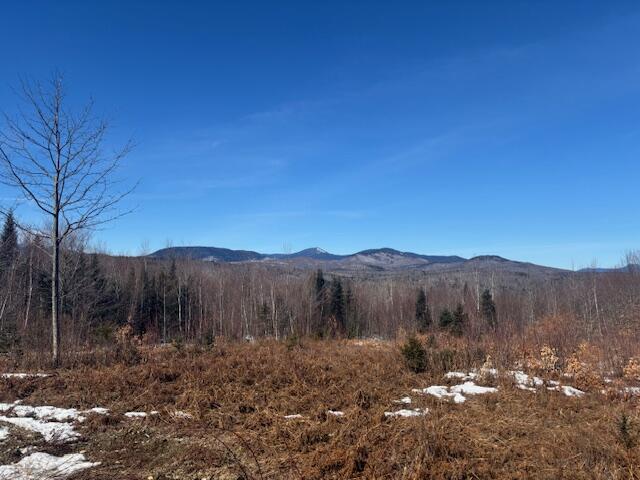Lot #20 Hollis Drive (eagle Ridge) Road Property Photo 3
