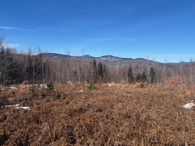 Lot #20 Hollis Drive (eagle Ridge) Road Property Photo 4