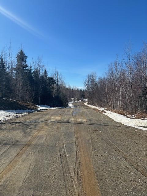 Lot #20 Hollis Drive (eagle Ridge) Road Property Photo 8