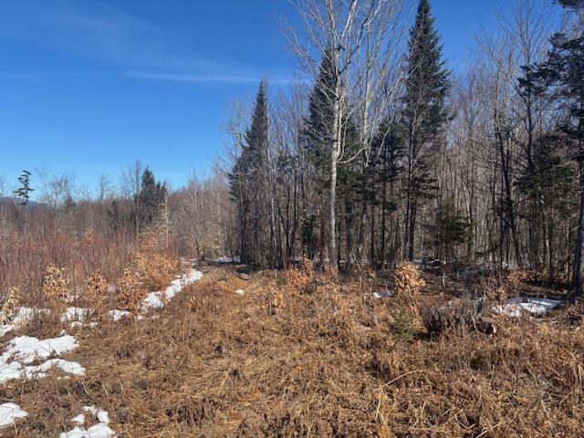 Lot #20 Hollis Drive (eagle Ridge) Road Property Photo 9
