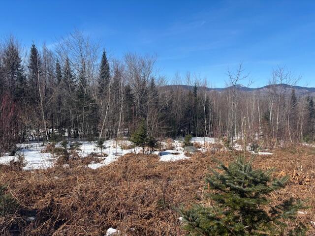 Lot #20 Hollis Drive (eagle Ridge) Road Property Photo 10