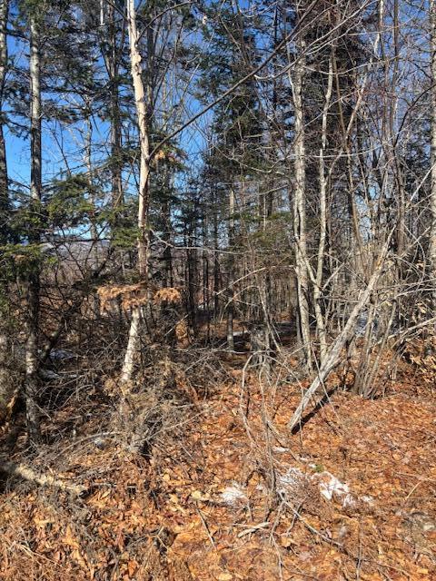 Lot #20 Hollis Drive (eagle Ridge) Road Property Photo 12