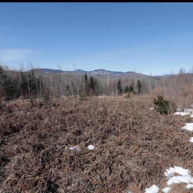 Lot #20 Hollis Drive (eagle Ridge) Road Property Photo 13