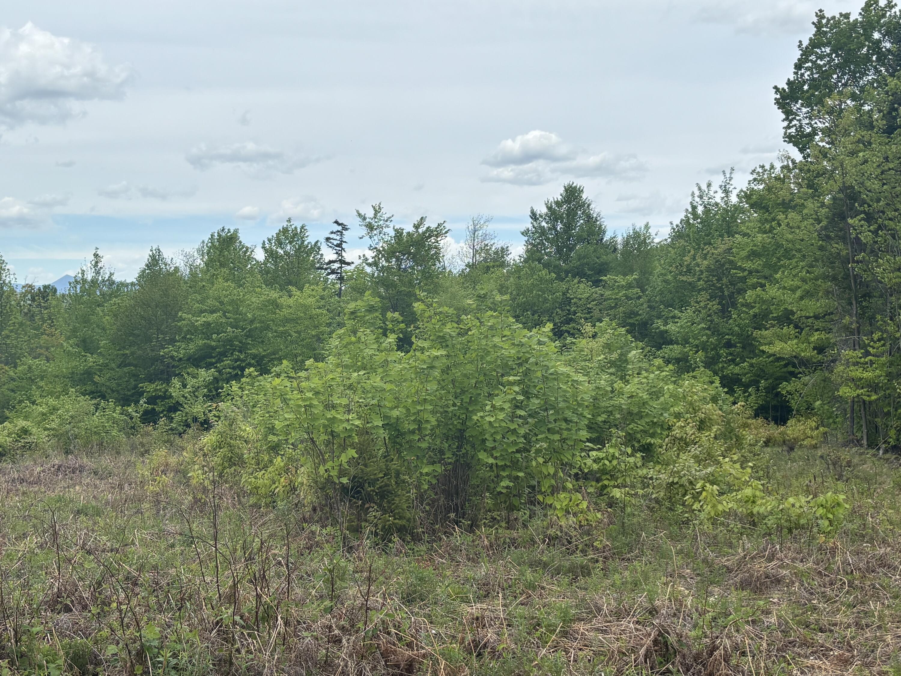 Lot #20 Hollis Drive (eagle Ridge) Road Property Photo 17