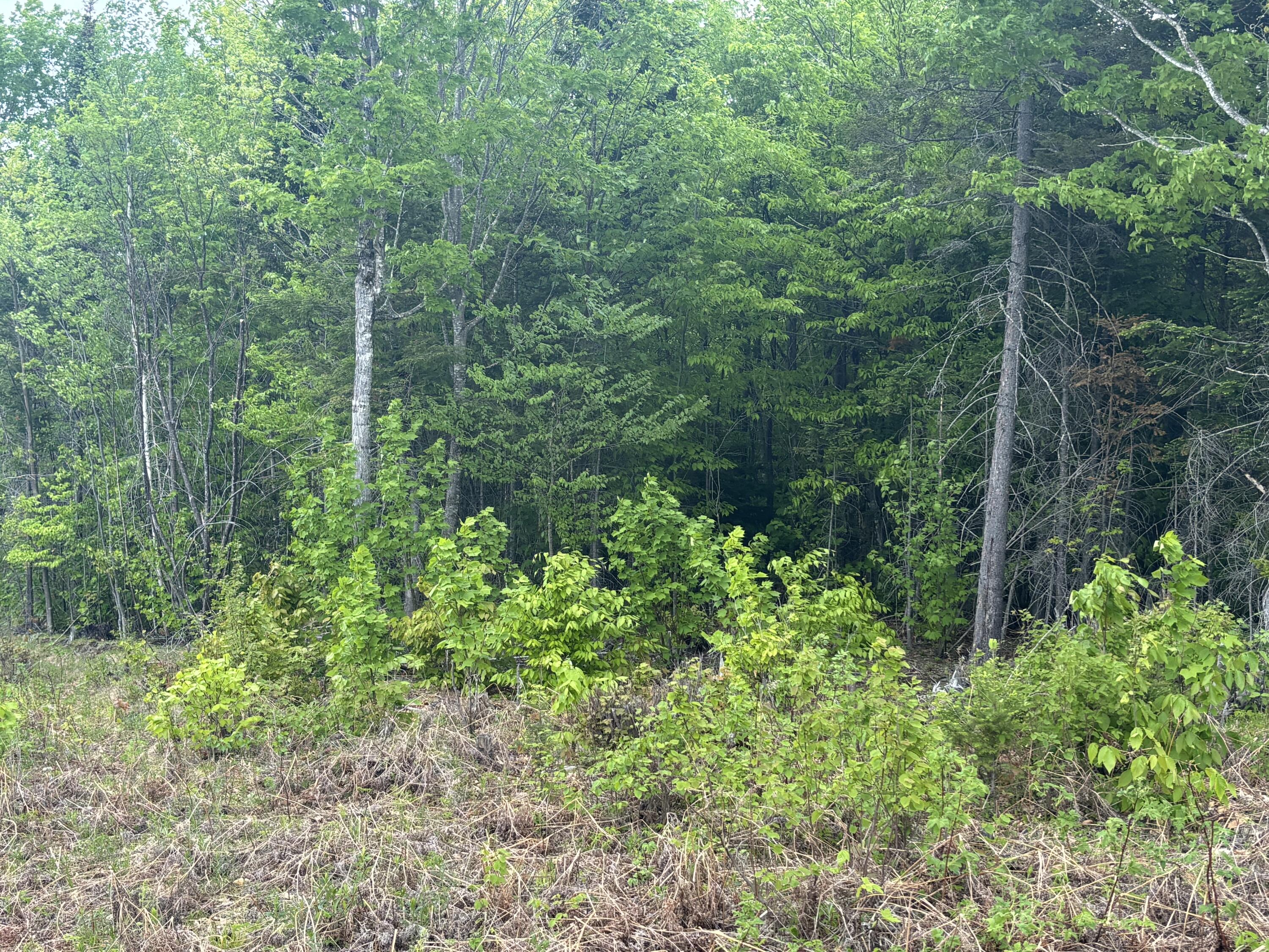 Lot #20 Hollis Drive (eagle Ridge) Road Property Photo 19