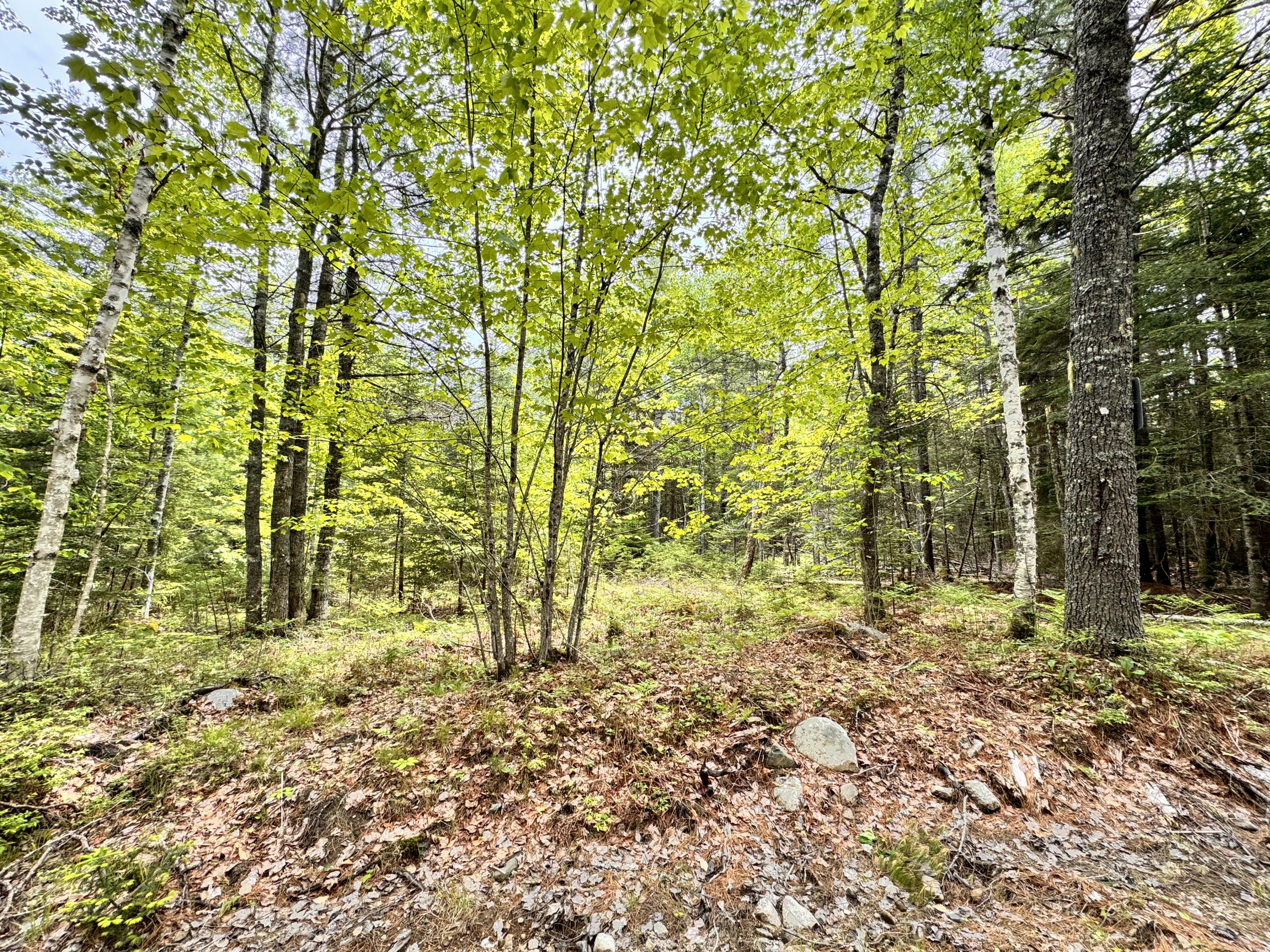 18-b Back Pasture Lane Property Photo 1