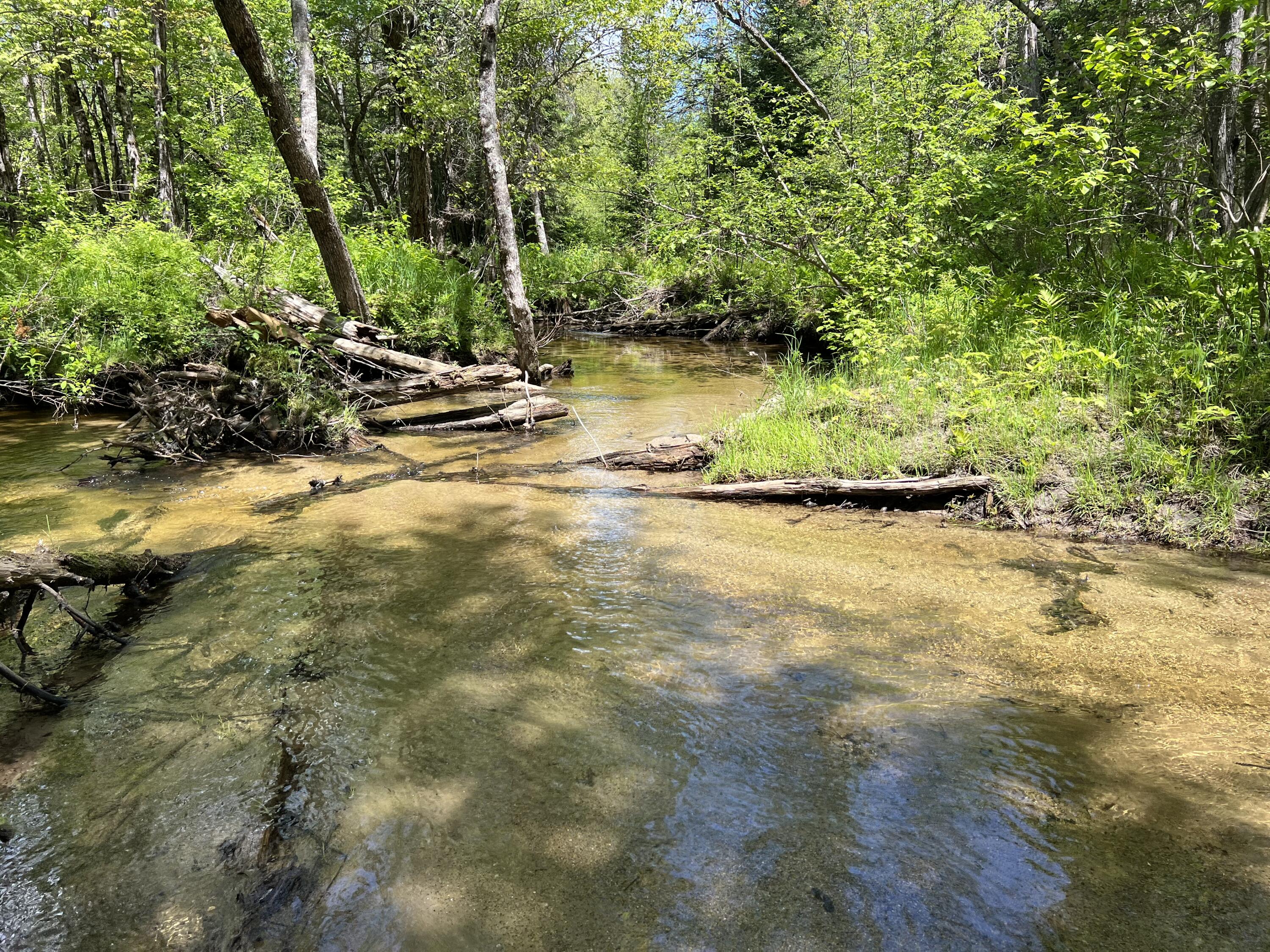 Lot A Goodwin Road Property Photo 23