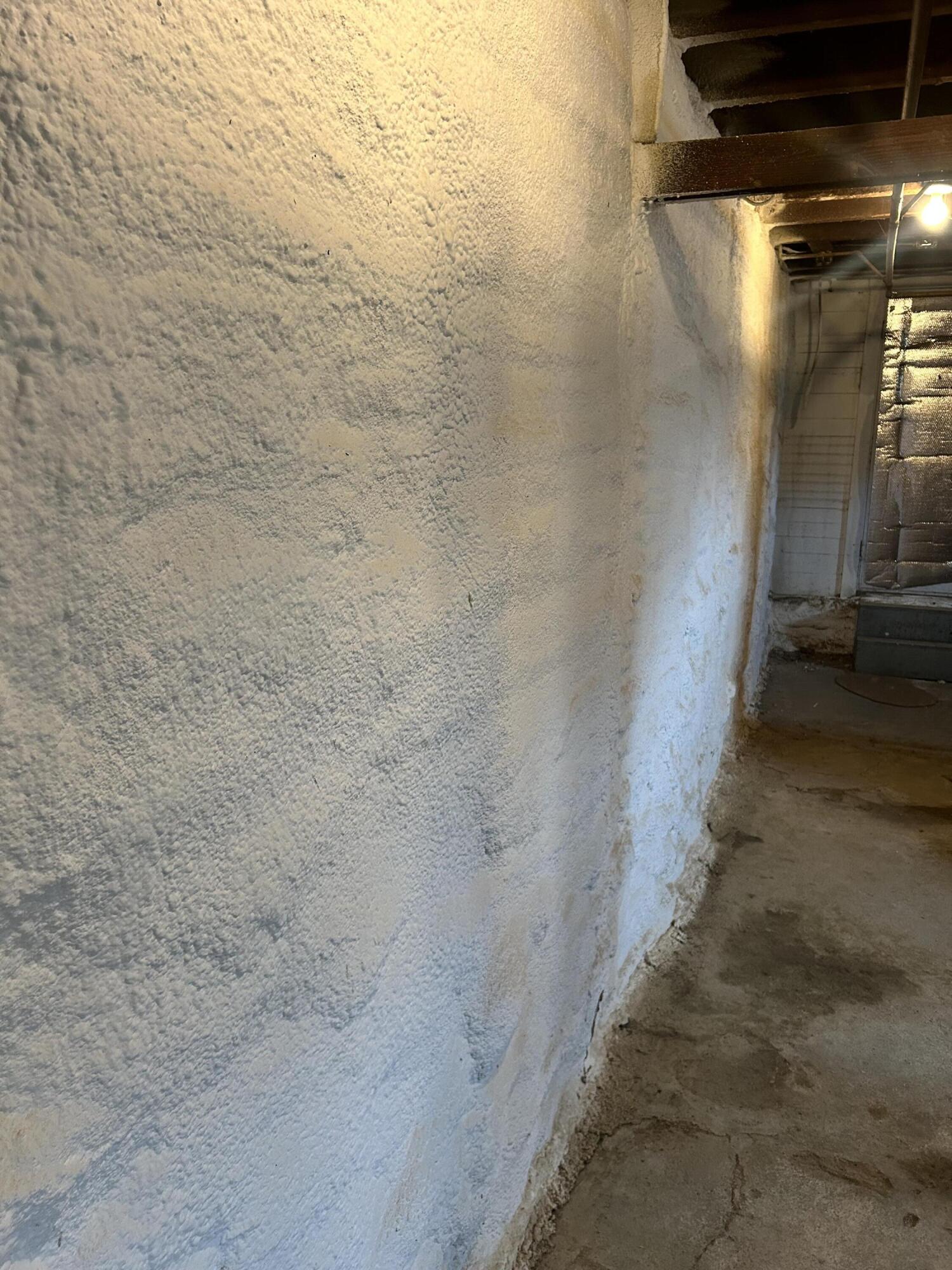 97 Park Street Property Photo 48