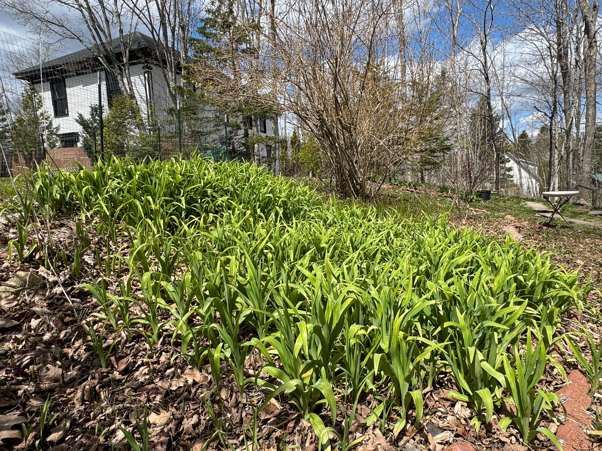 8 Leighton Point Road Property Photo 4