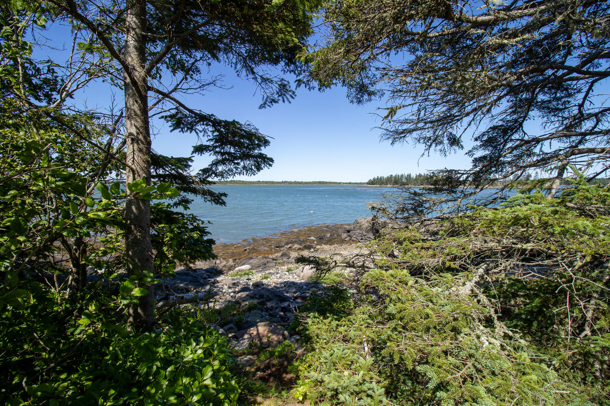 0 Wohoa Bay Island Property Photo 32