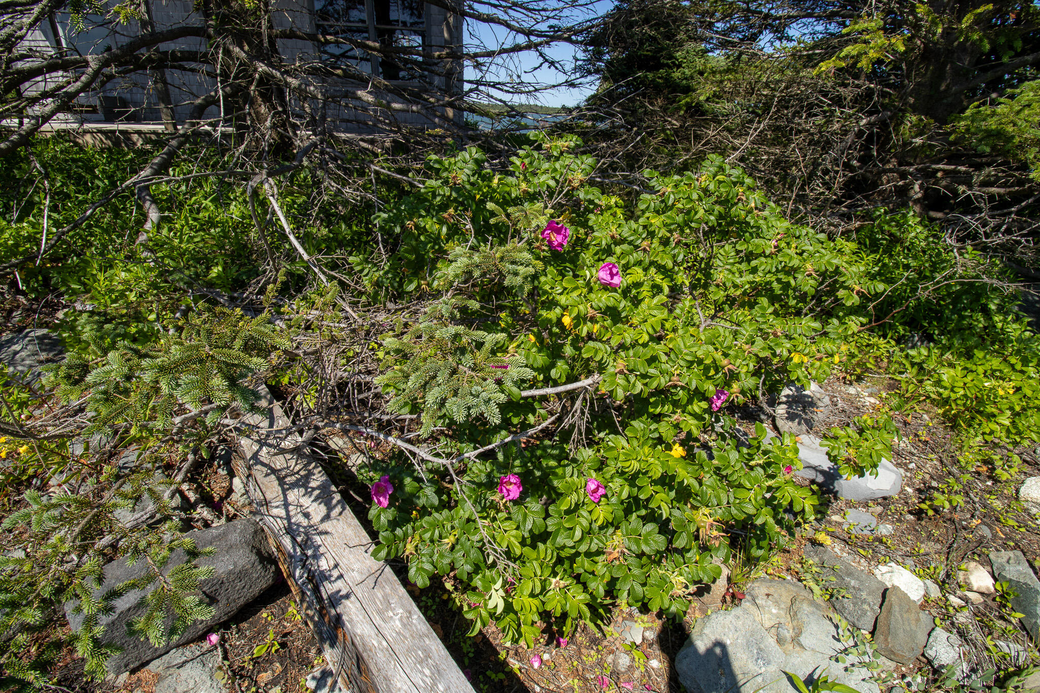 0 Wohoa Bay Island Property Photo 42